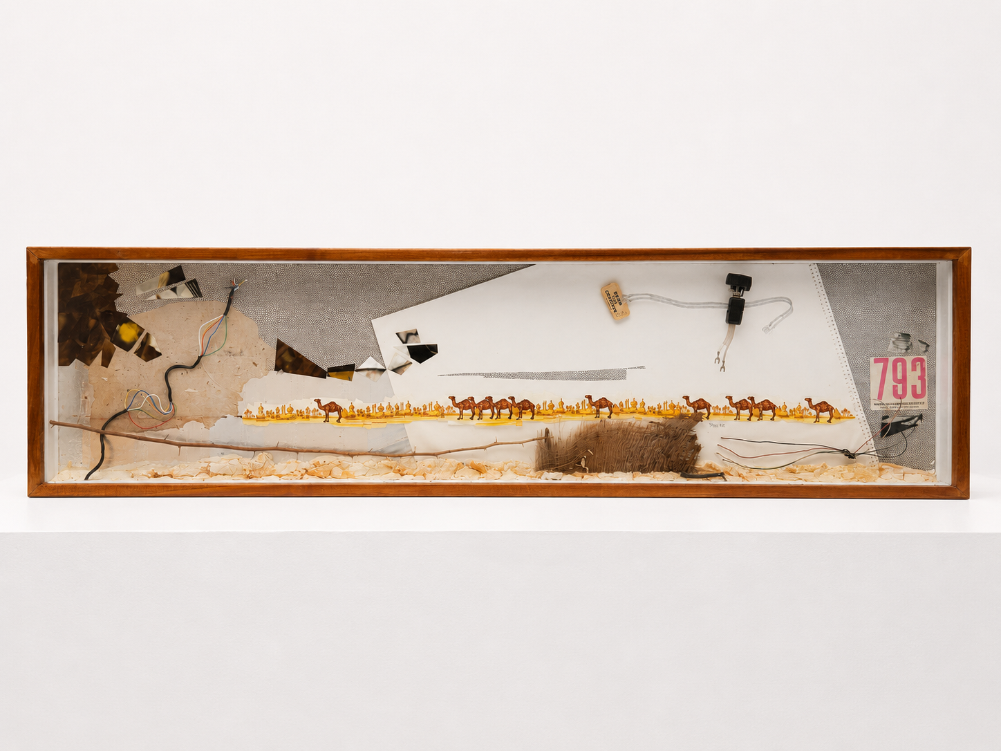 793 / 2001 / Materials: Camel cigarette packets, paper clippings, electrical hardware and wire, parking ticket stubs, coconut tree part, branch with thorns, wood and glass