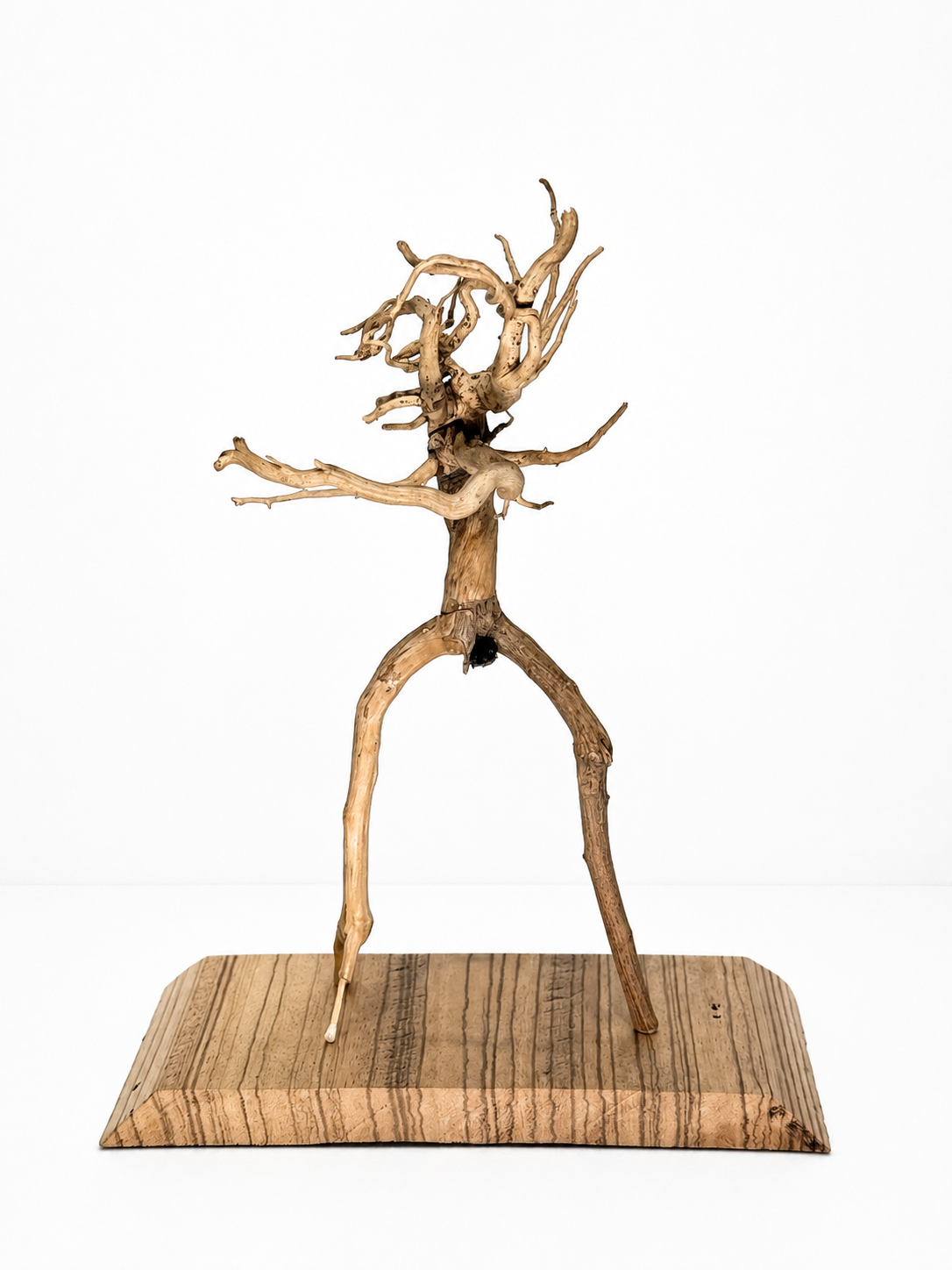 The Guy with a Match-Stick Leg / 2022 / Materials: Garden clippings, dried plant root, wood base