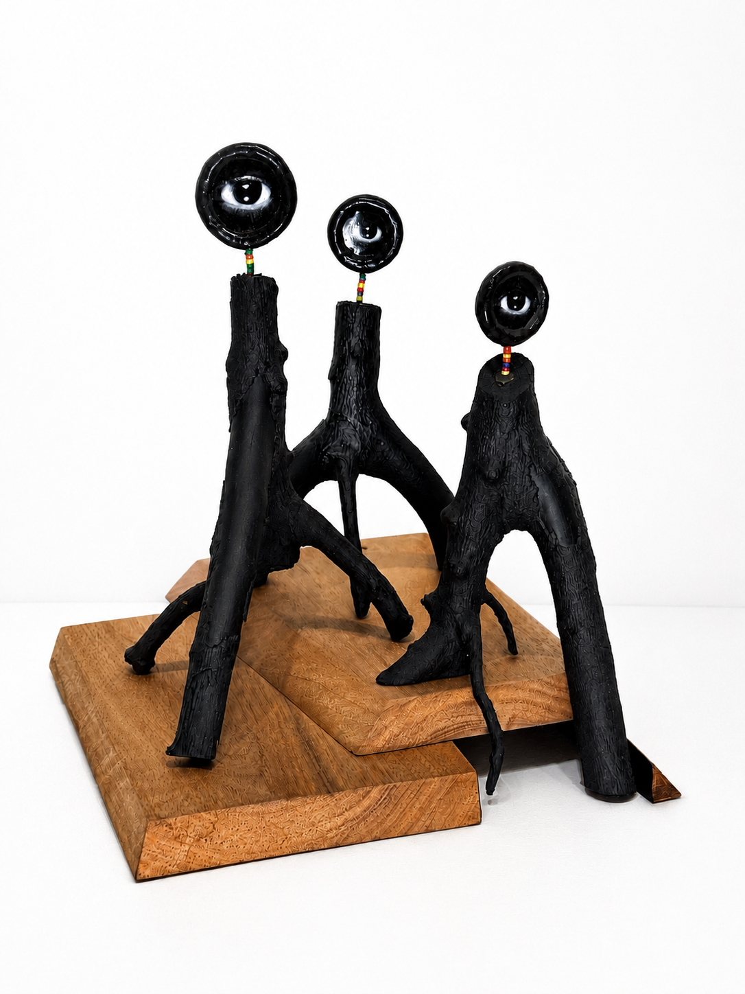 Husband, Wife, and Mother in Law / 2022 / Materials: Clippings from the garden, electrical wire sheathing, printed photos of Norman's eye, wood base