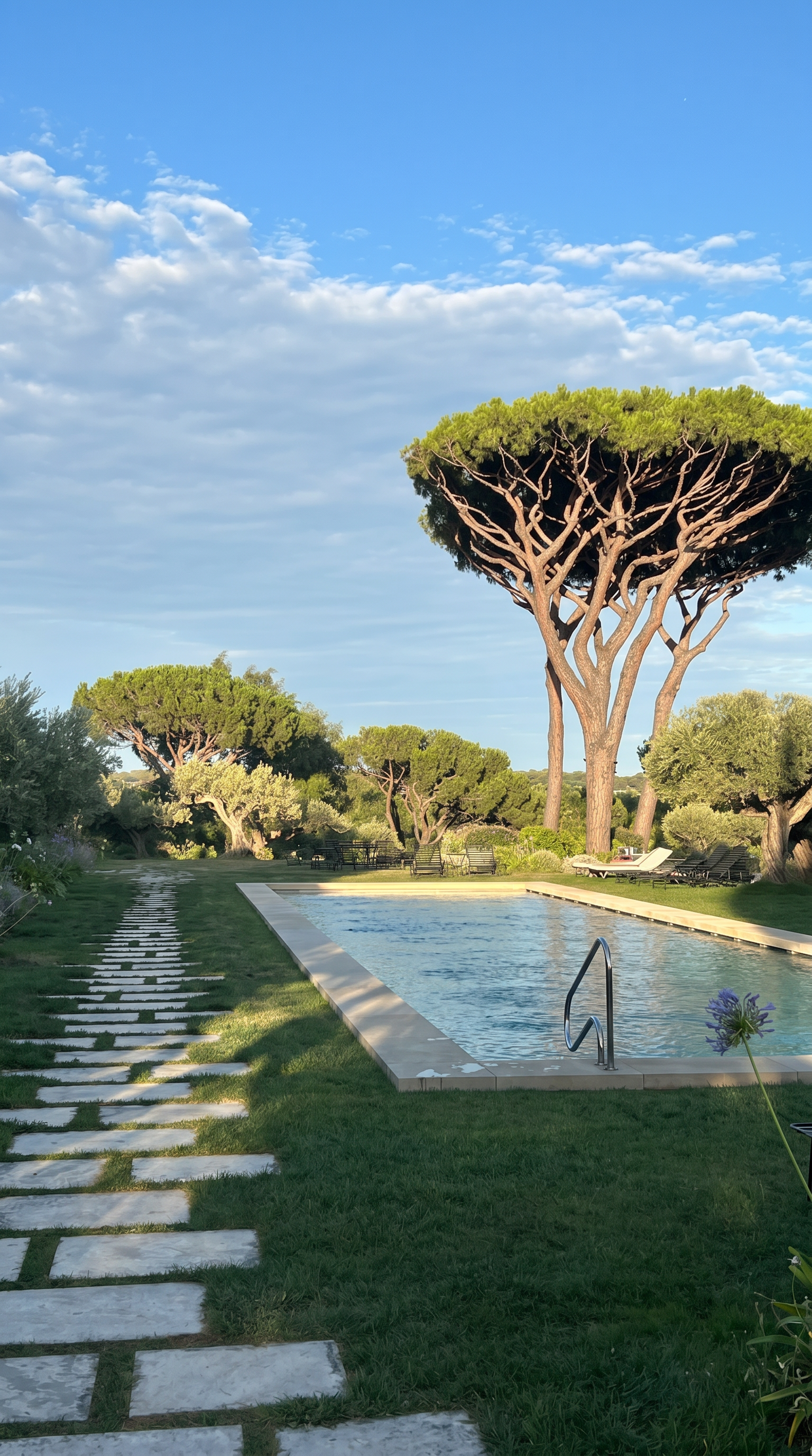 A backyard with a swimming pool, surrounded by green grass, trees, and lounge chairs. There is a stone pathway beside the pool and a tall, uniquely shaped tree with a wide canopy.