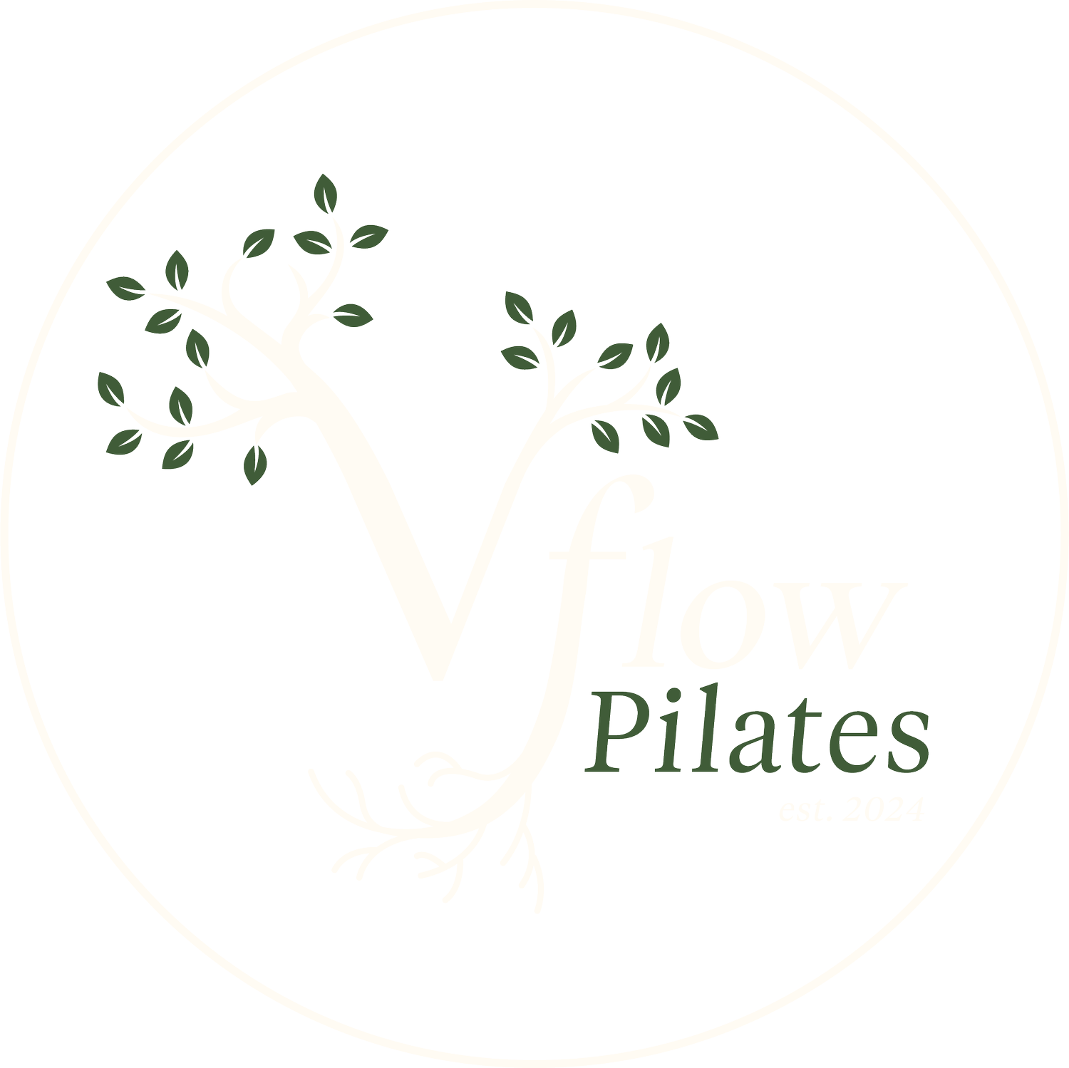 V Flow Pilates