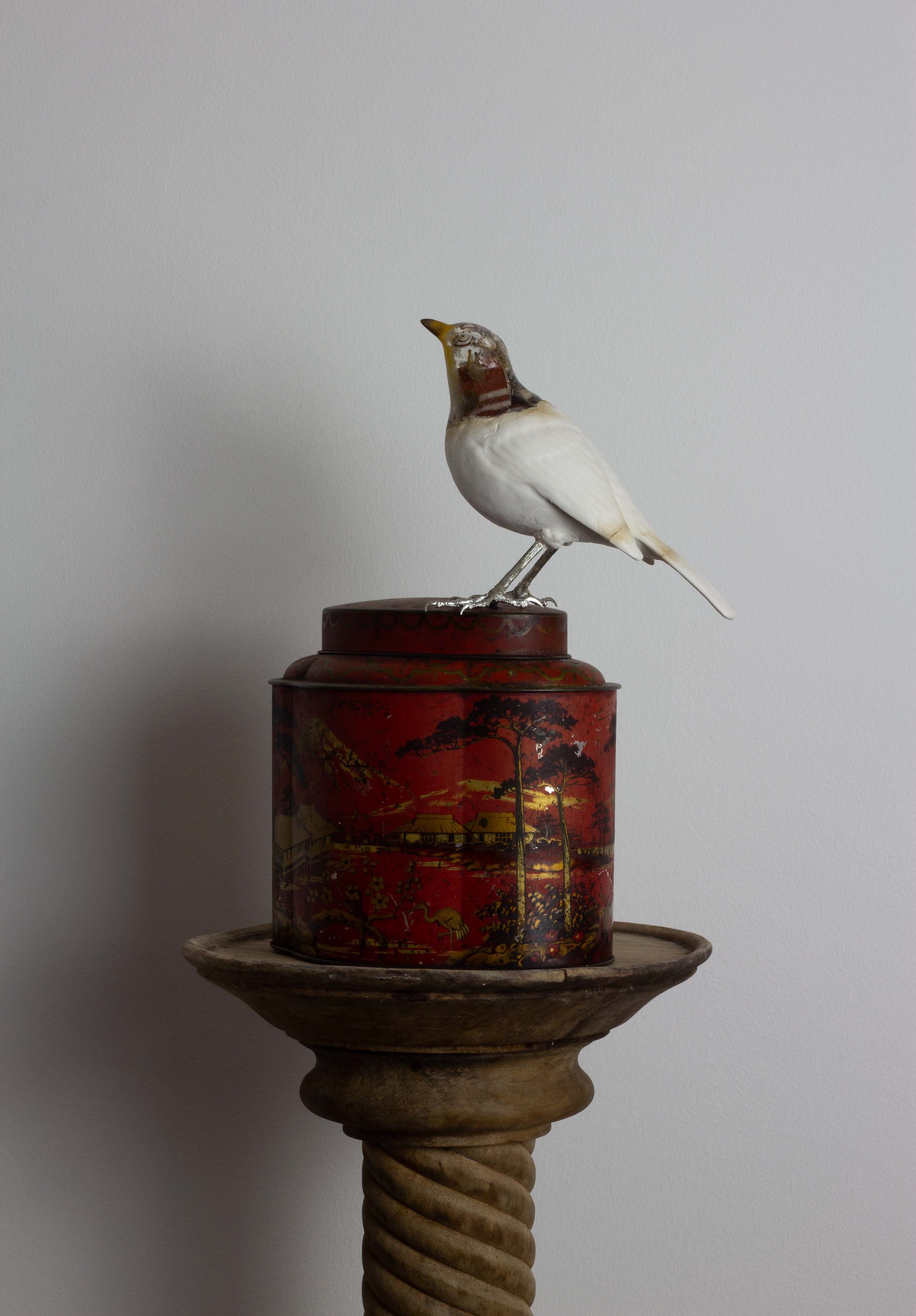 Thrush tea tin.jpg