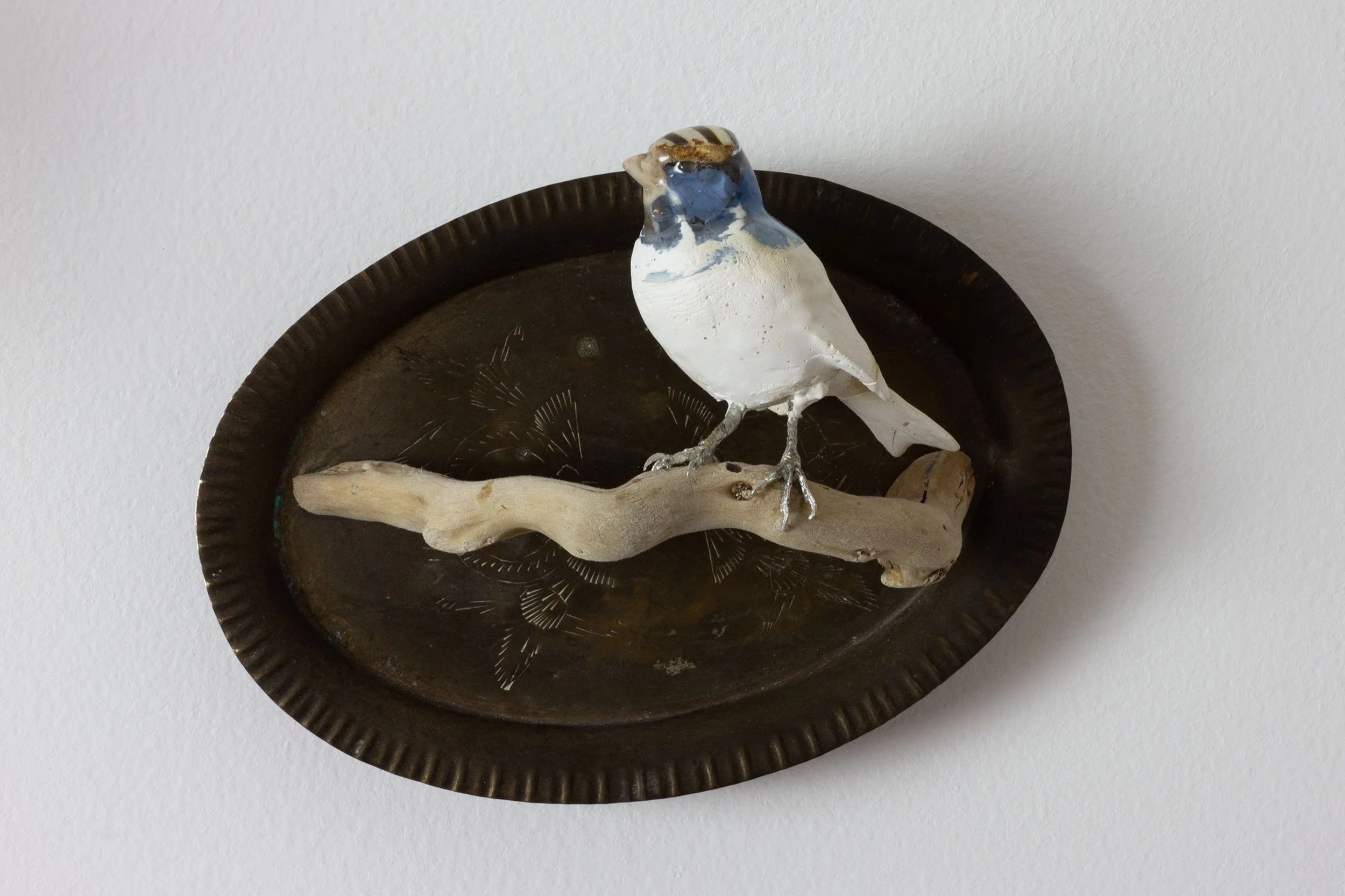 Chaffinch+Brass+plate.jpg