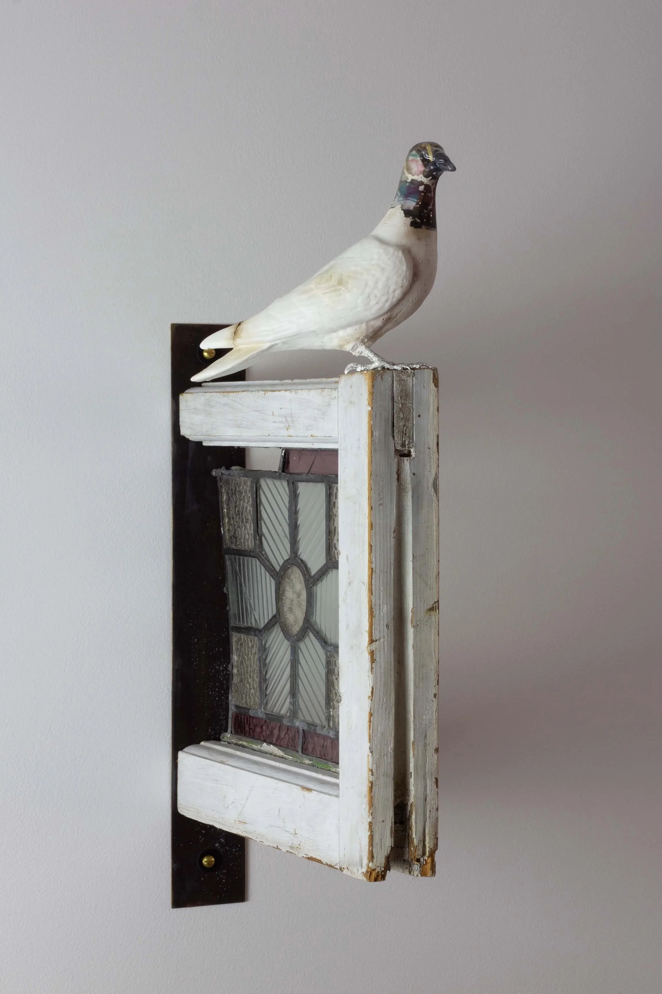 Pigeon+window.jpg