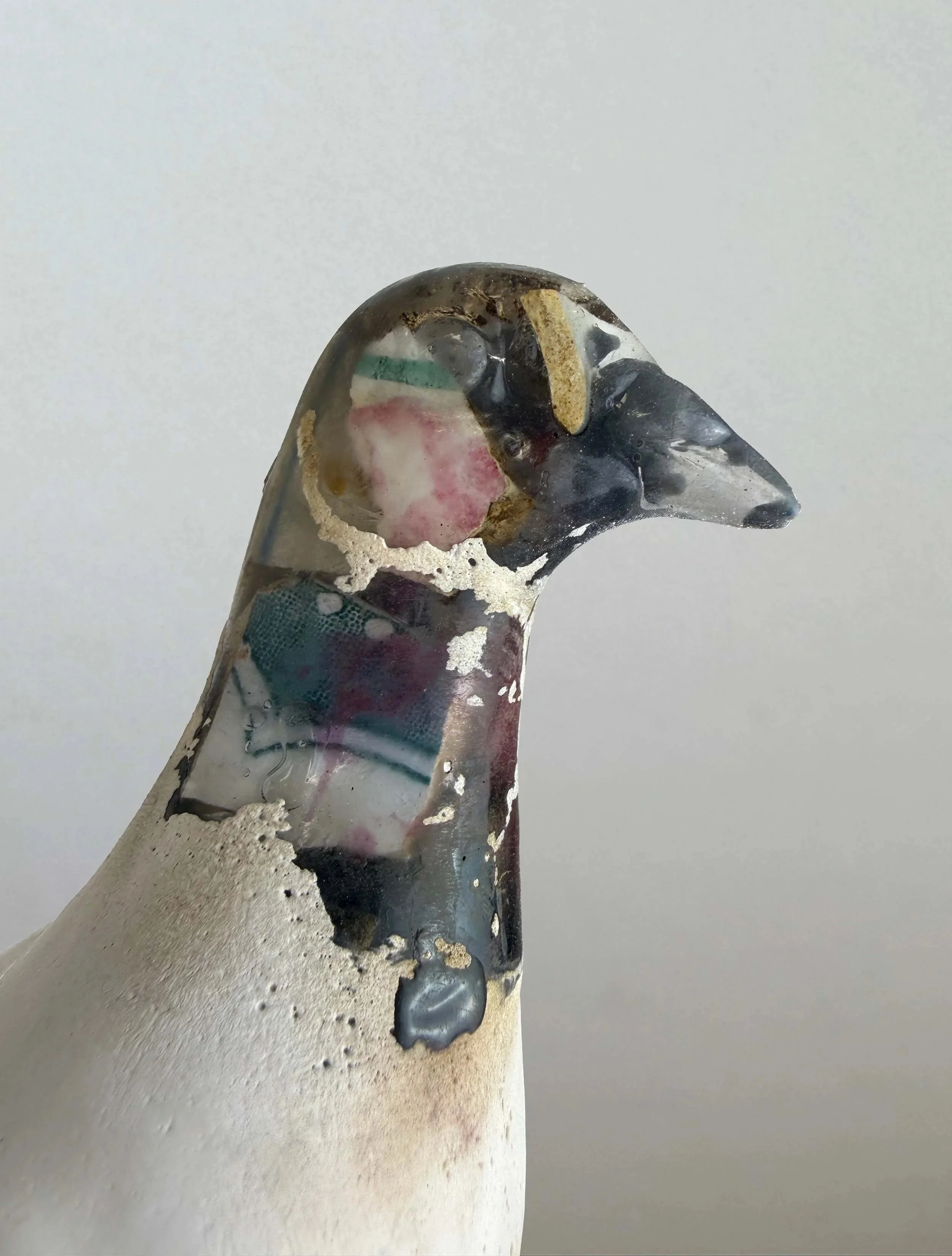 Pigeon+Window+close+up.jpg