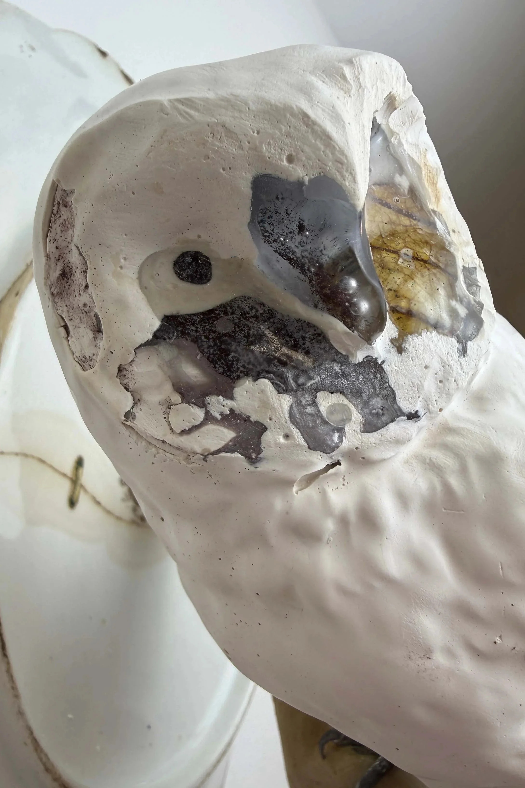 Owl+staple+plate+close+up.jpg