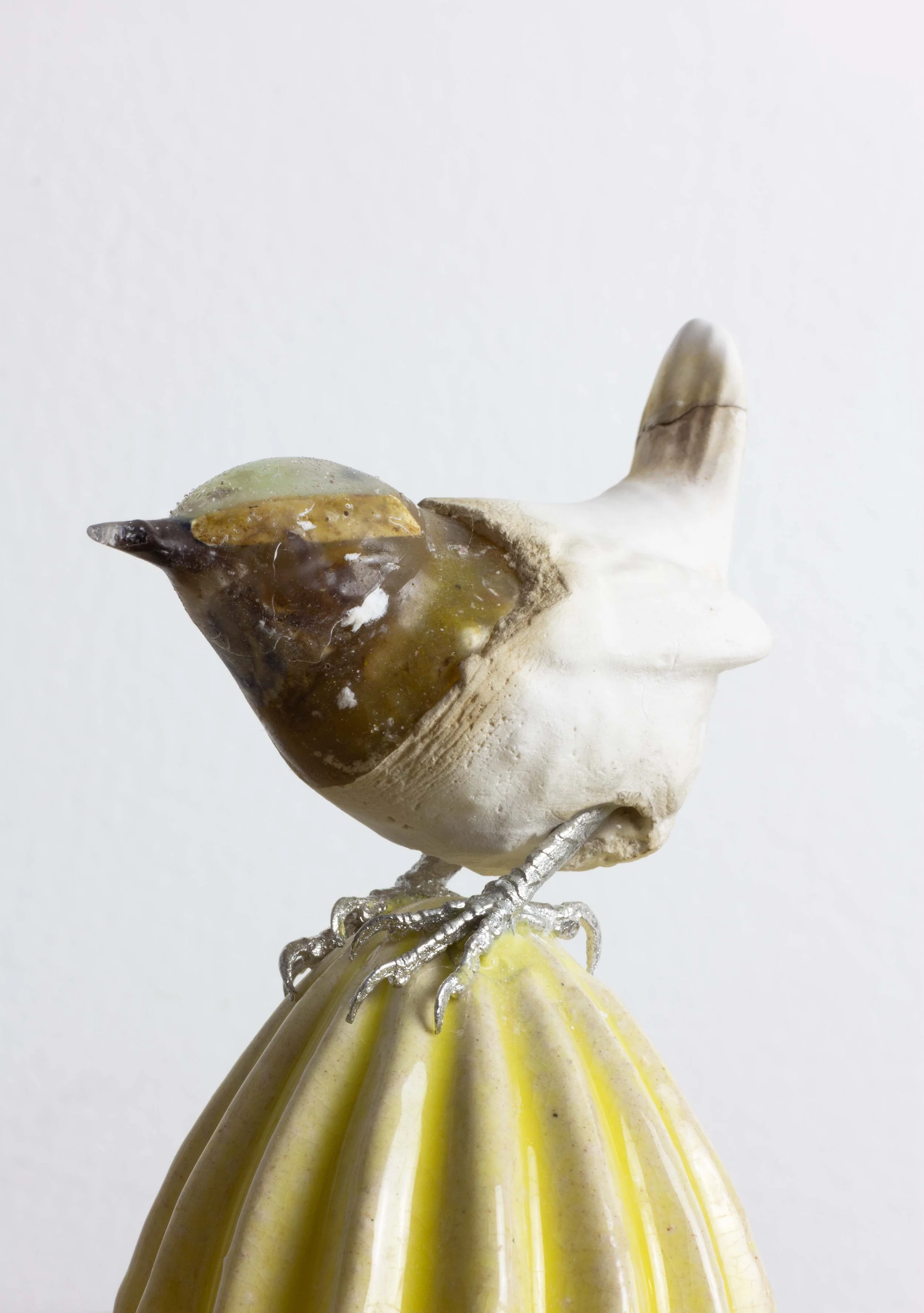 wren new.jpg
