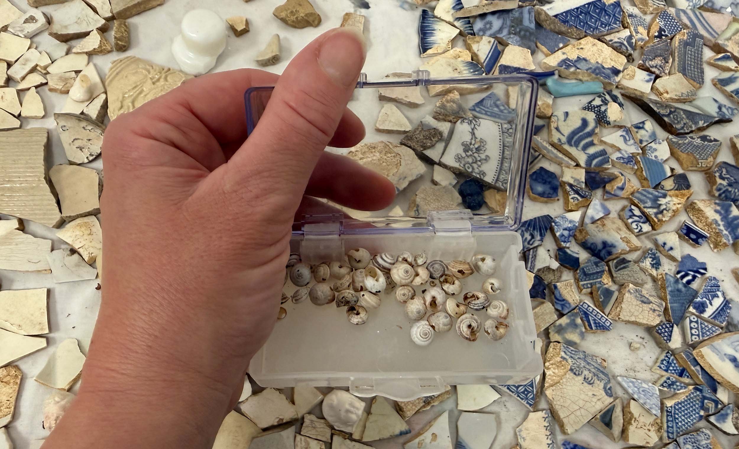 A person holding a small plastic container filled with tiny seashells over a surface scattered with broken and intact blue and white porcelain shards.