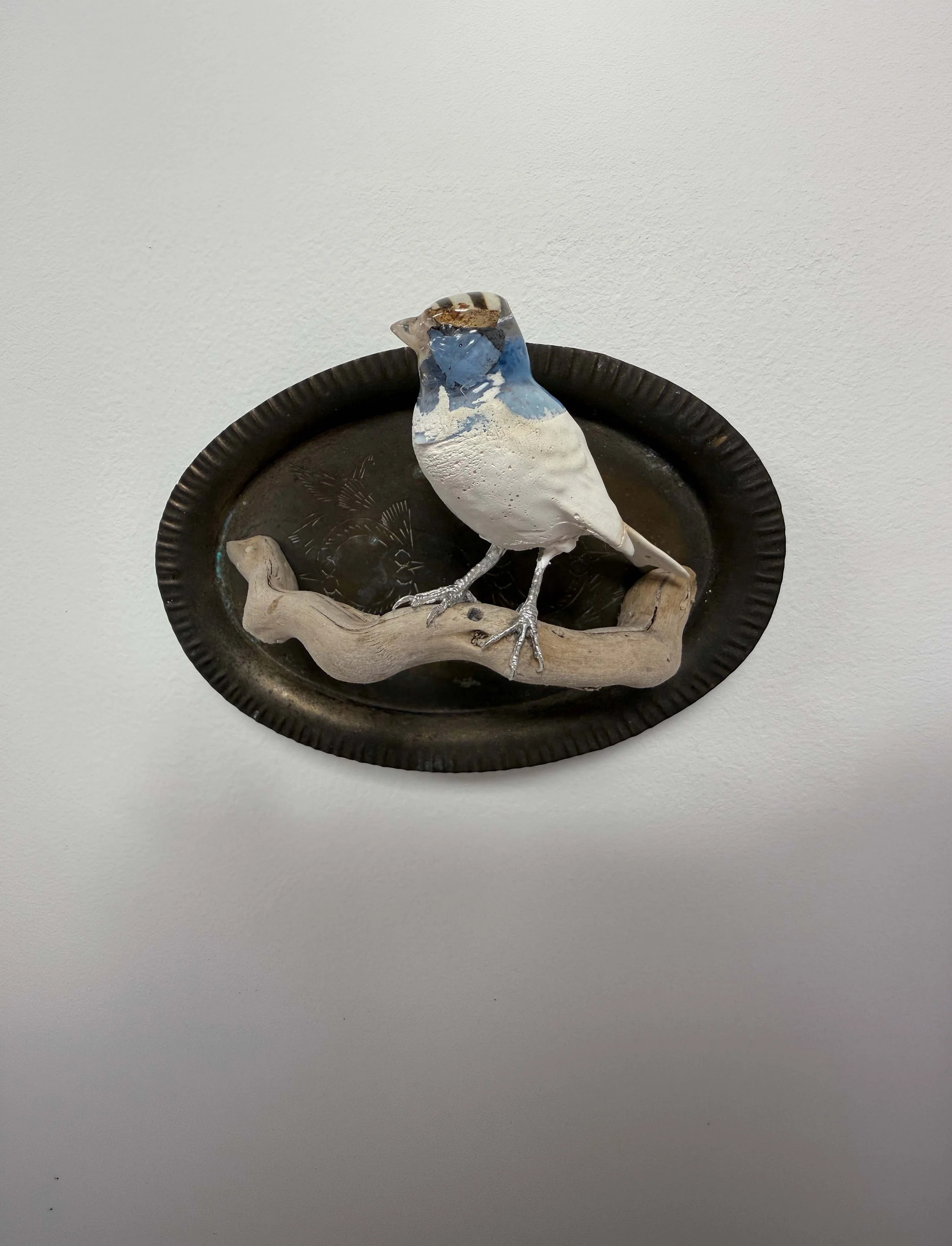 Chaffinch on Engraved Brass