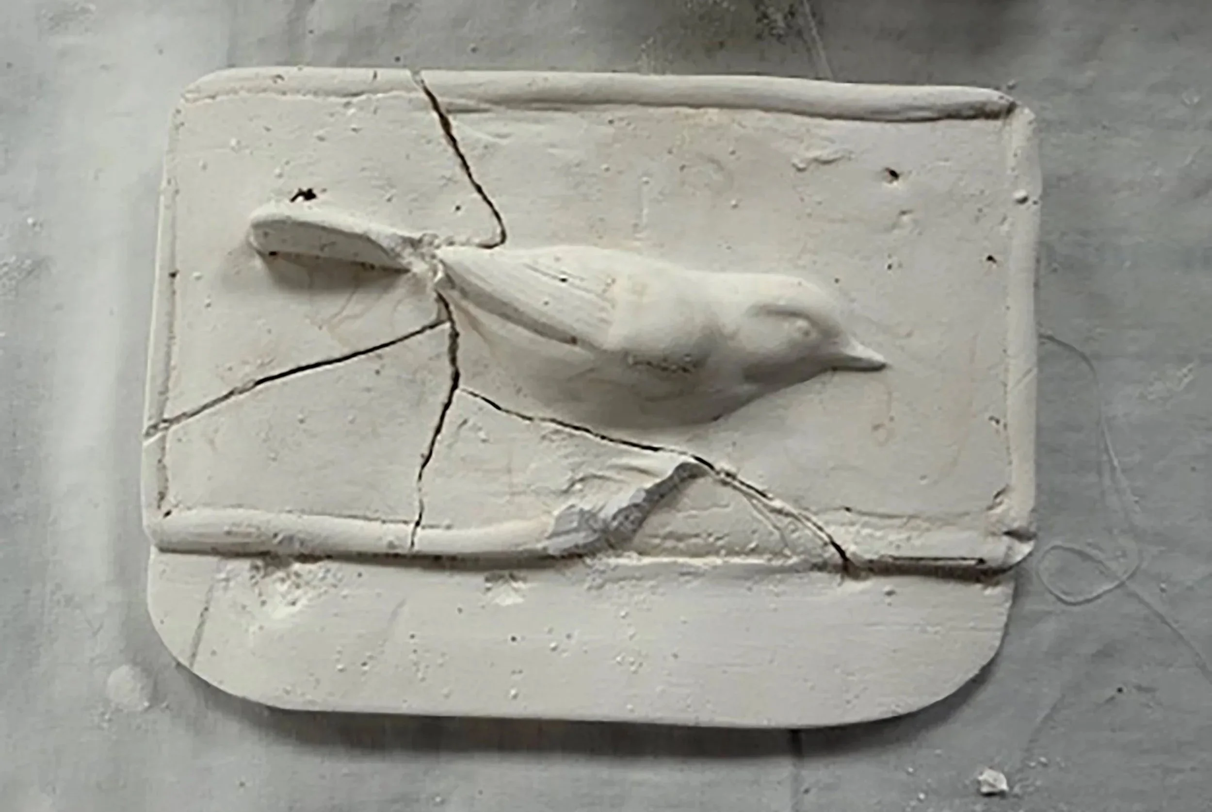 White plaster cast of a baby whale signature, placed on a concrete surface.