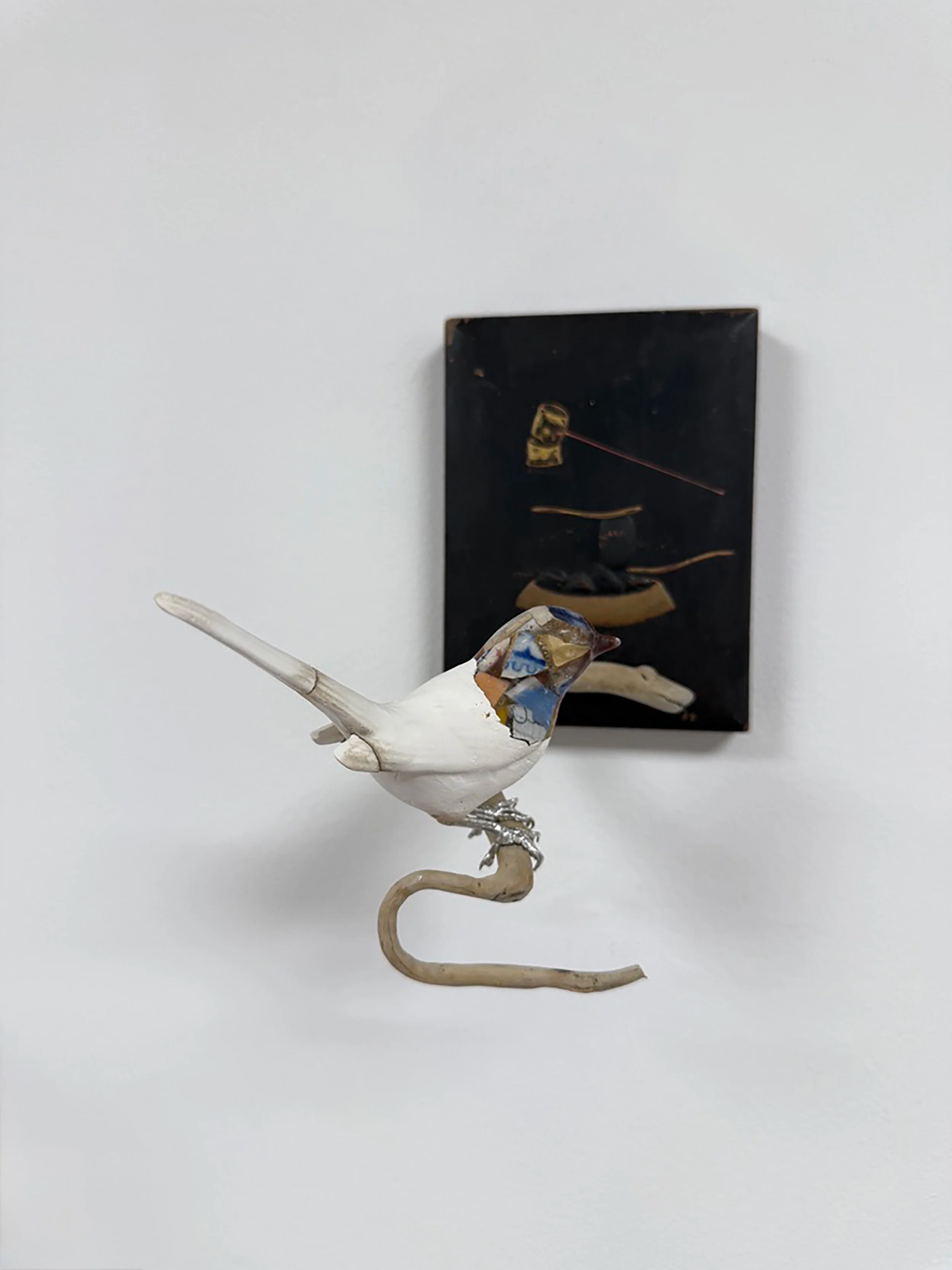 wagtail 3.jpg