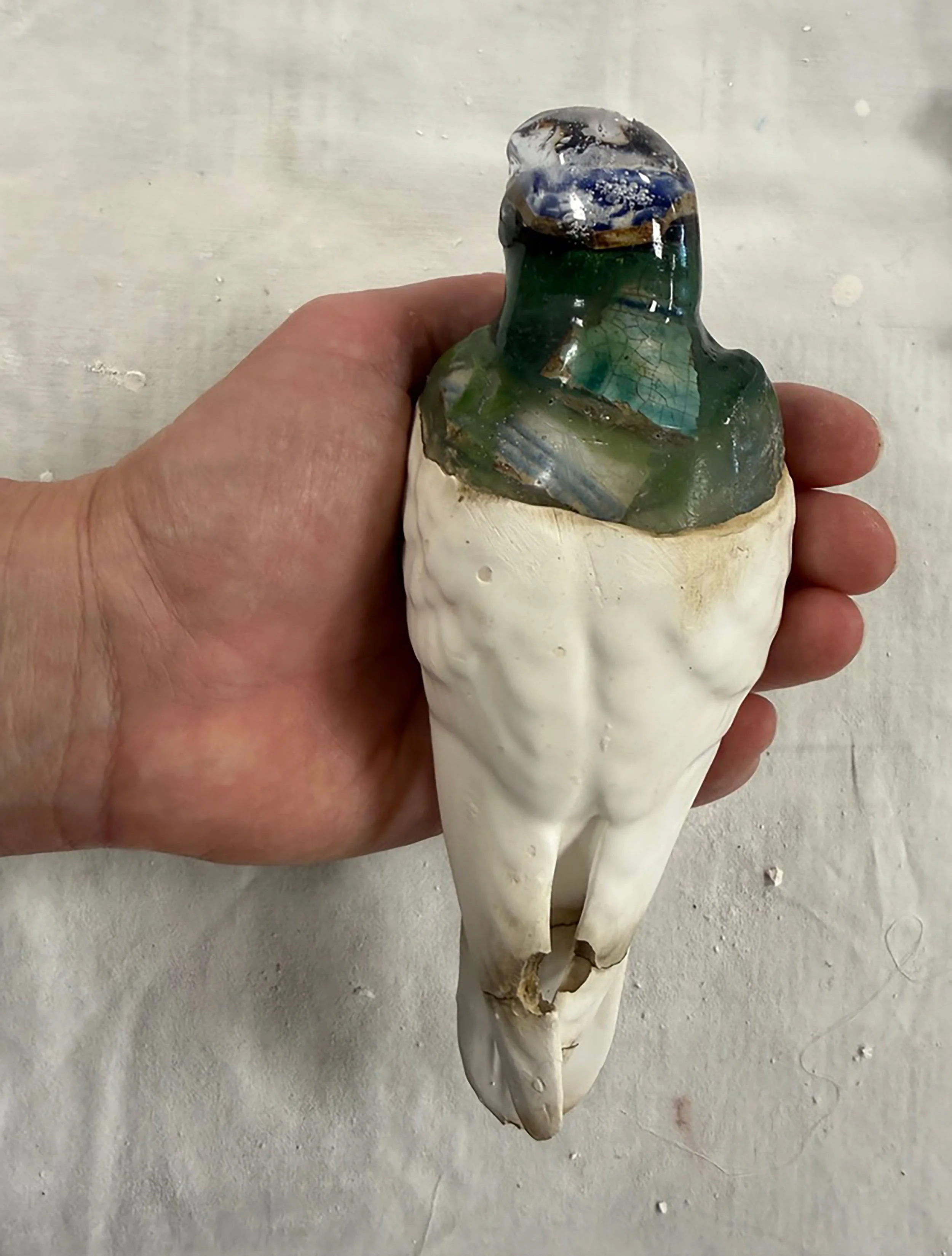 A person holding a large, polished, multicolored mineral or rock with shades of blue, green, and brown, set on a white artificial animal skull, possibly a cow skull. The background is a plain, light-colored surface.