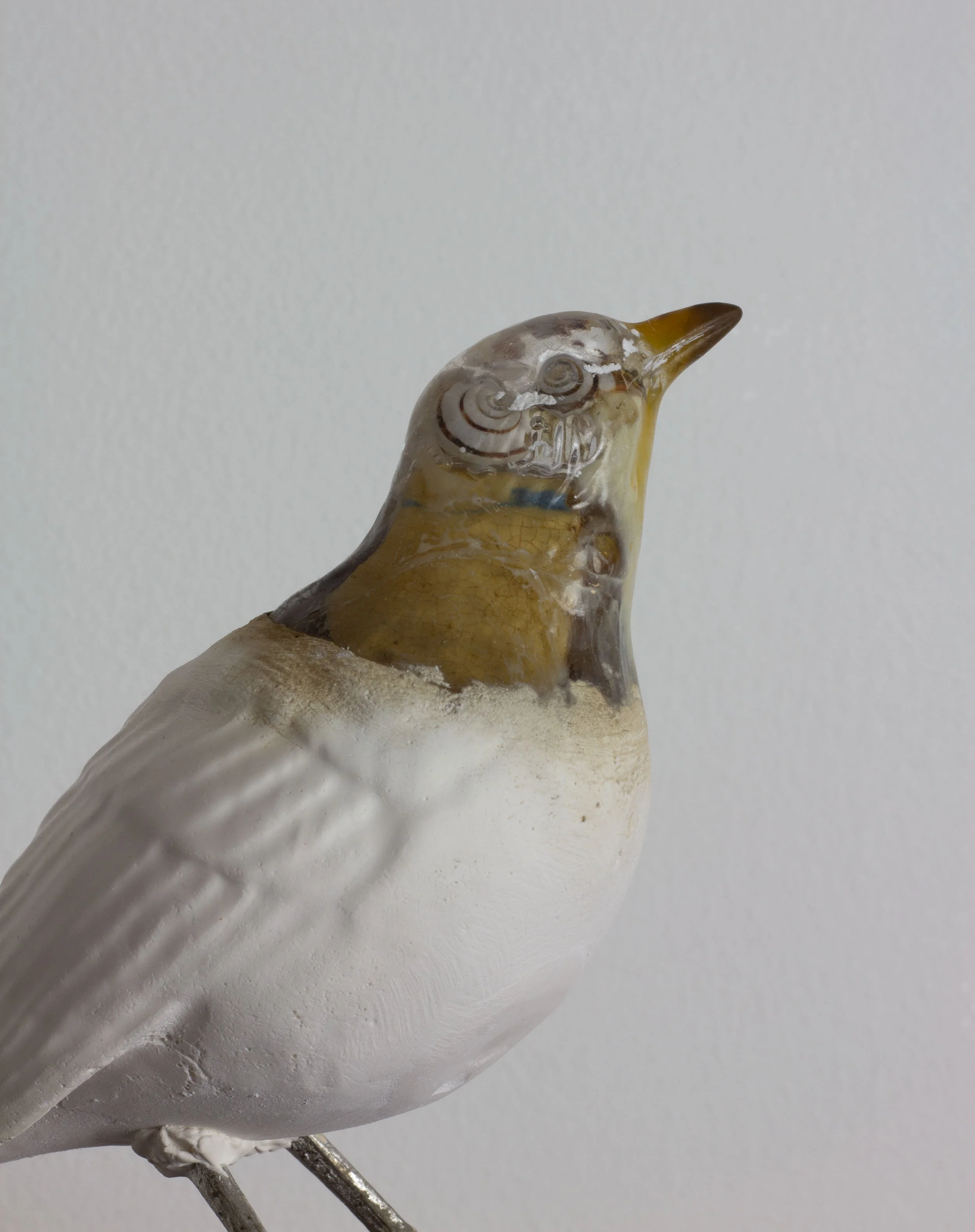 Thrush Tea tin close up.jpg