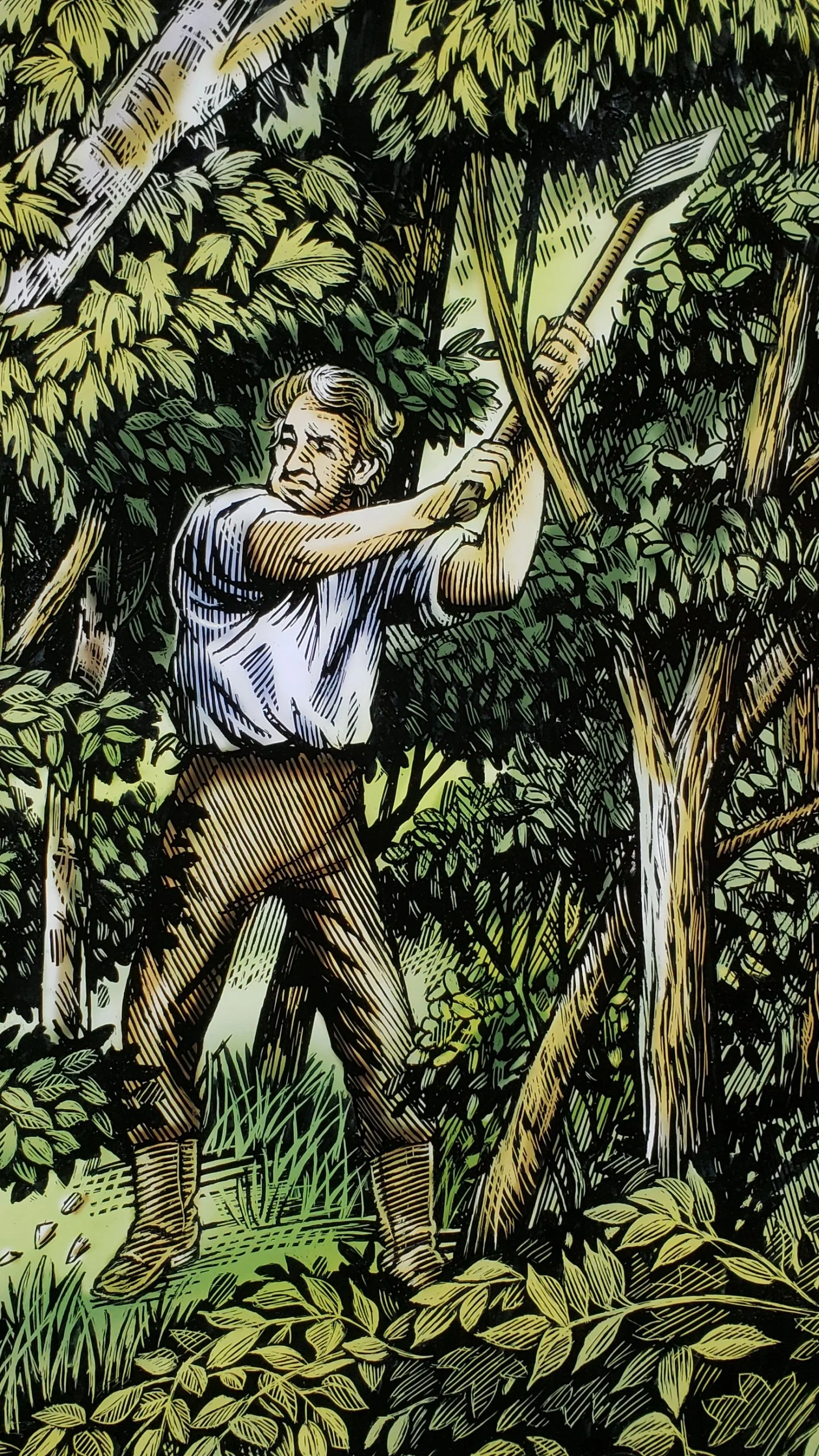Image of man clearing land