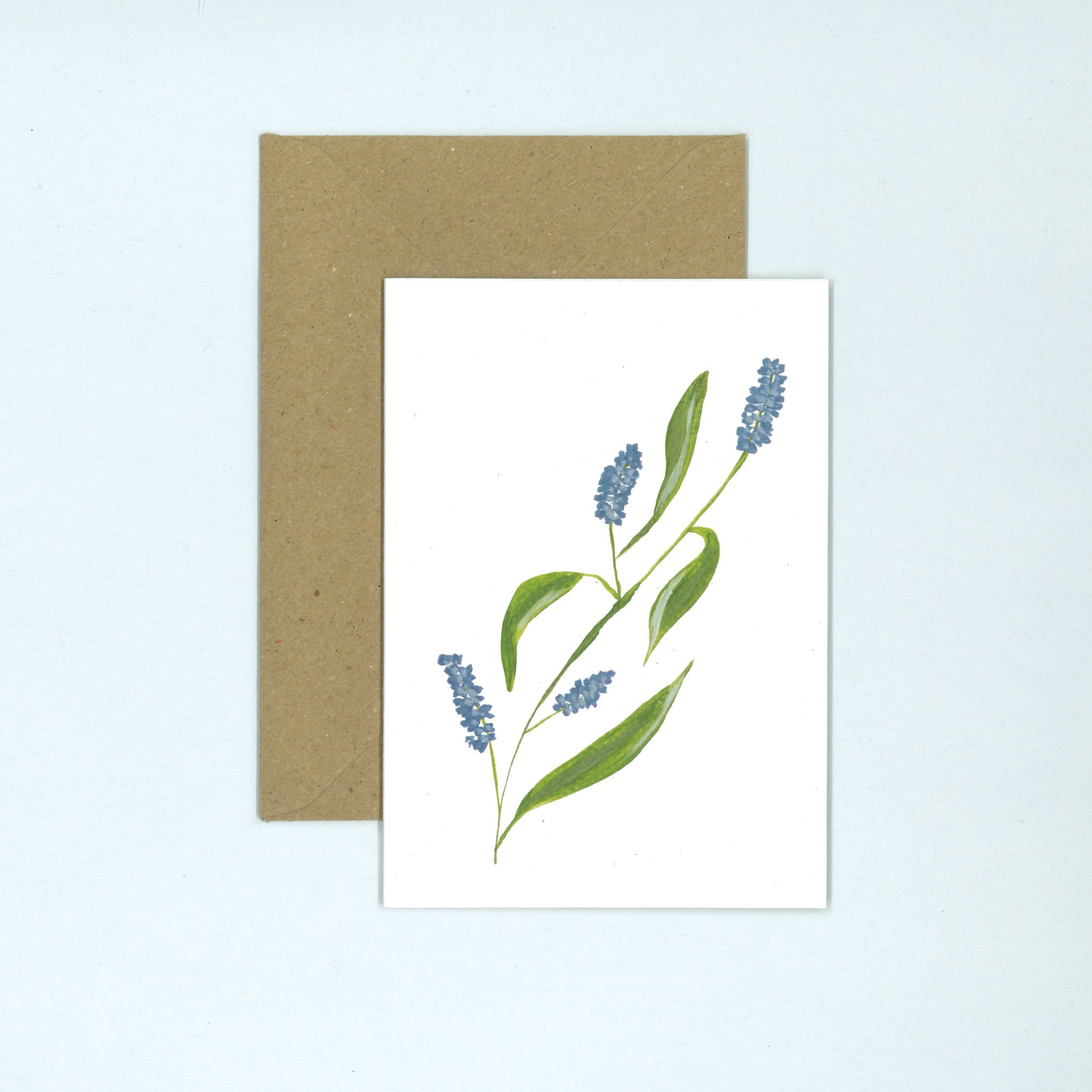 Lavender greeting card