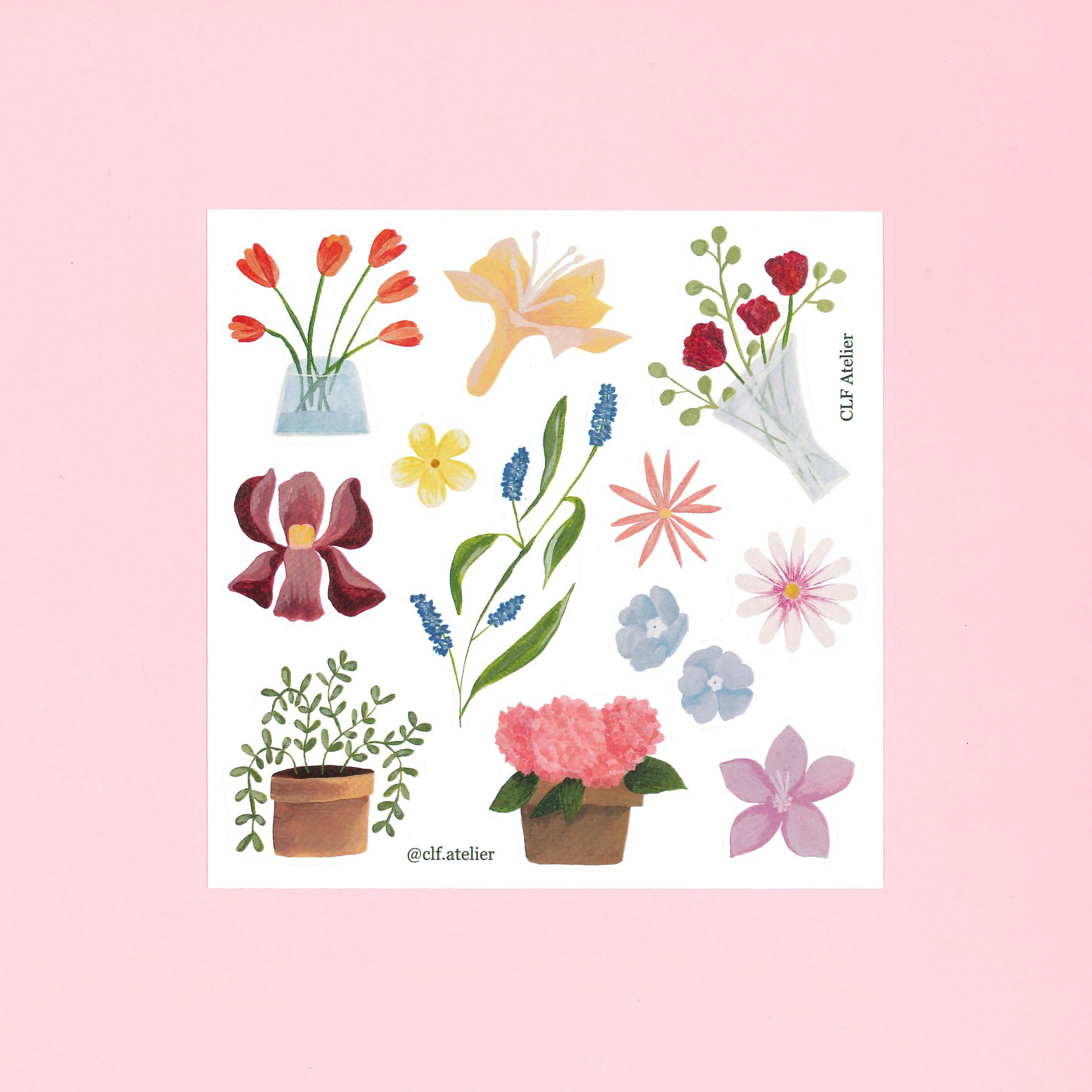 Flower collection