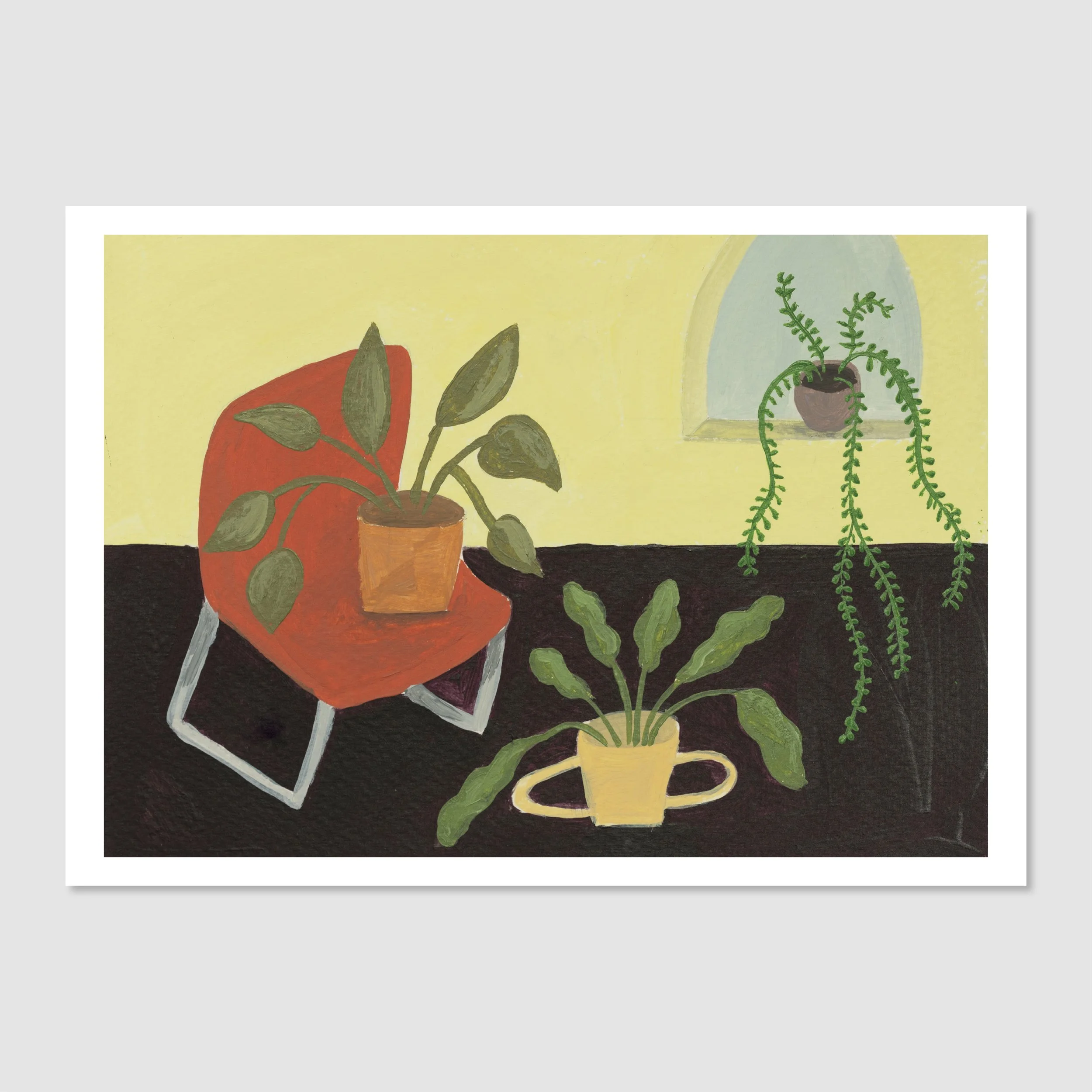 House plants