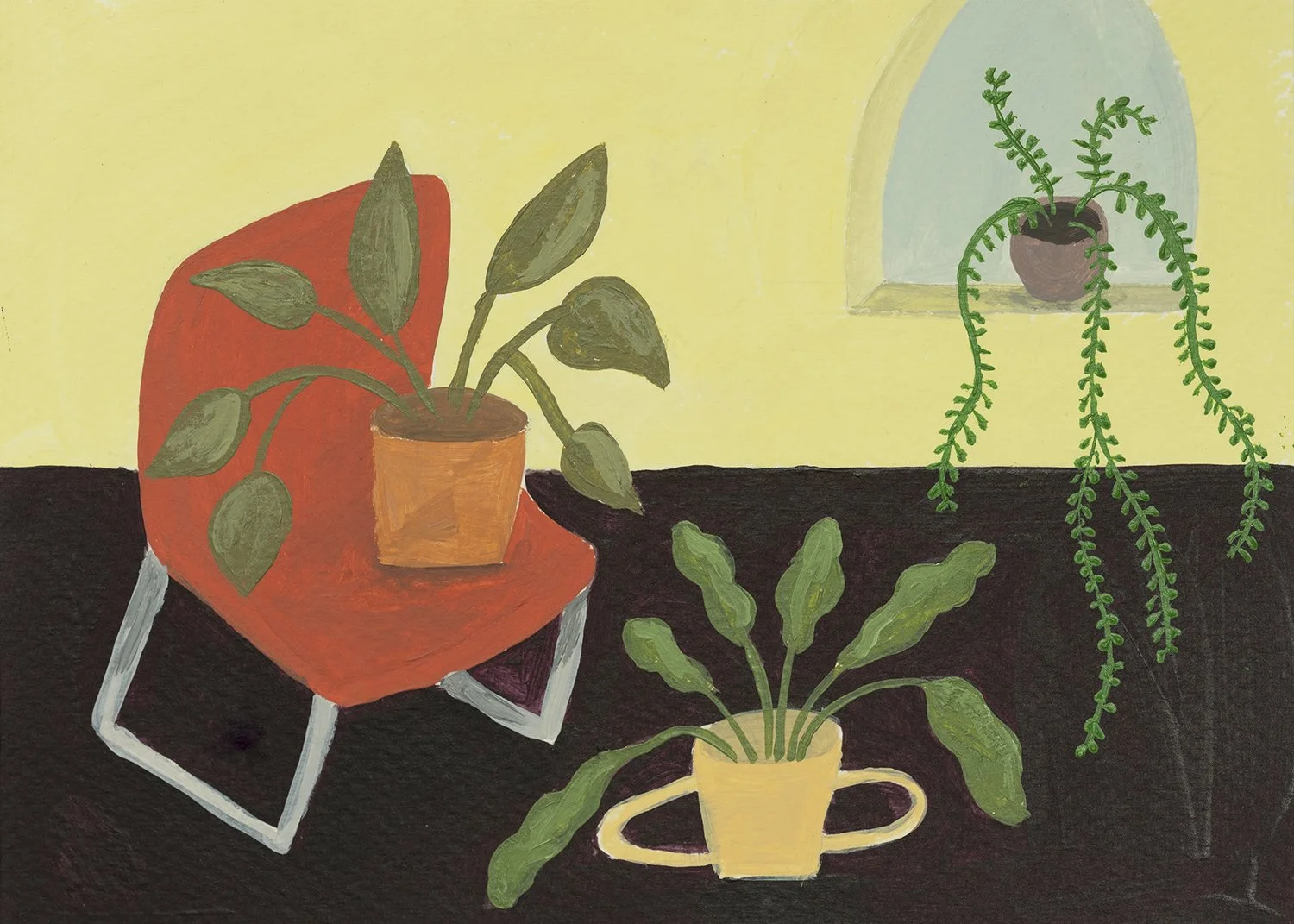 Hous plants.jpg