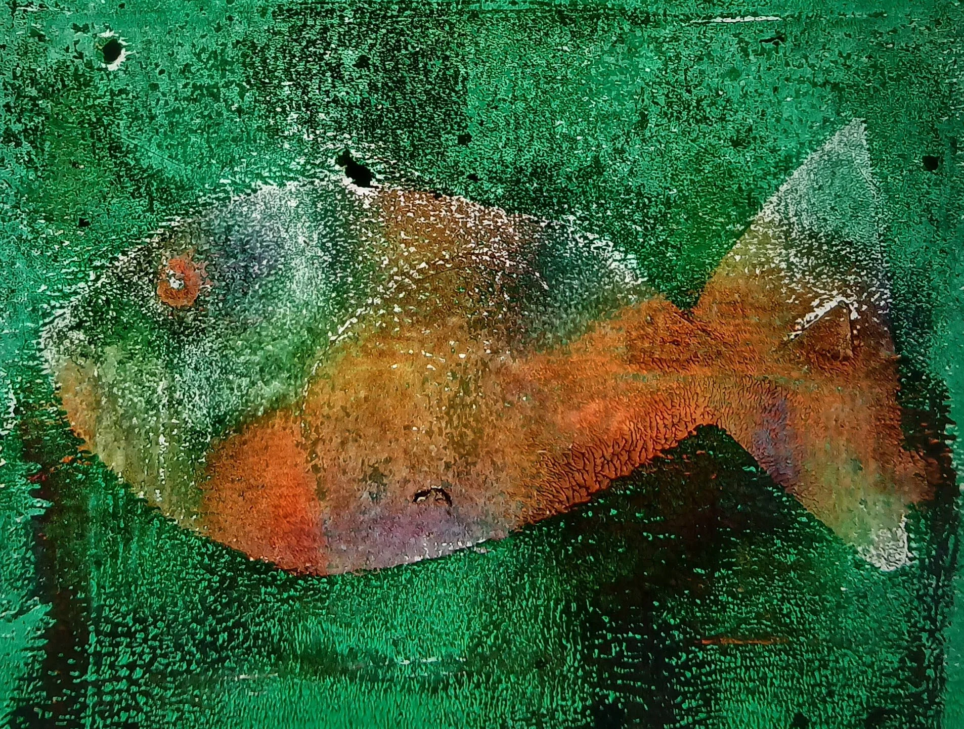 Orange Fish