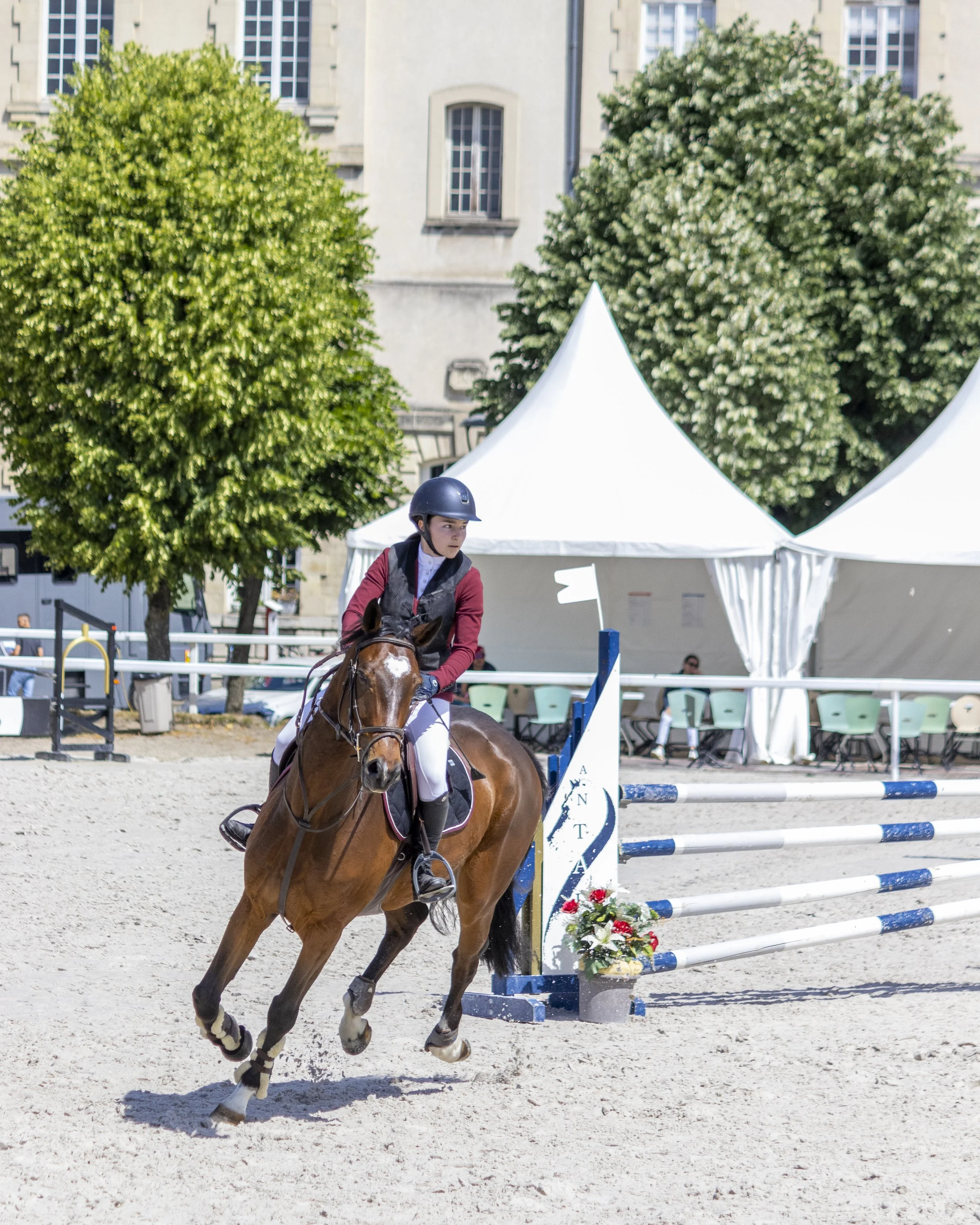 Cavalier en épreuve d'équitation devant un obstacle. Le cavalier porte un casque noir, une veste rouge et blanc, et la jument est marron avec des marques blanches sur la tête et les jambes. En arrière-plan, des tentes blanches et des arbres verts dan