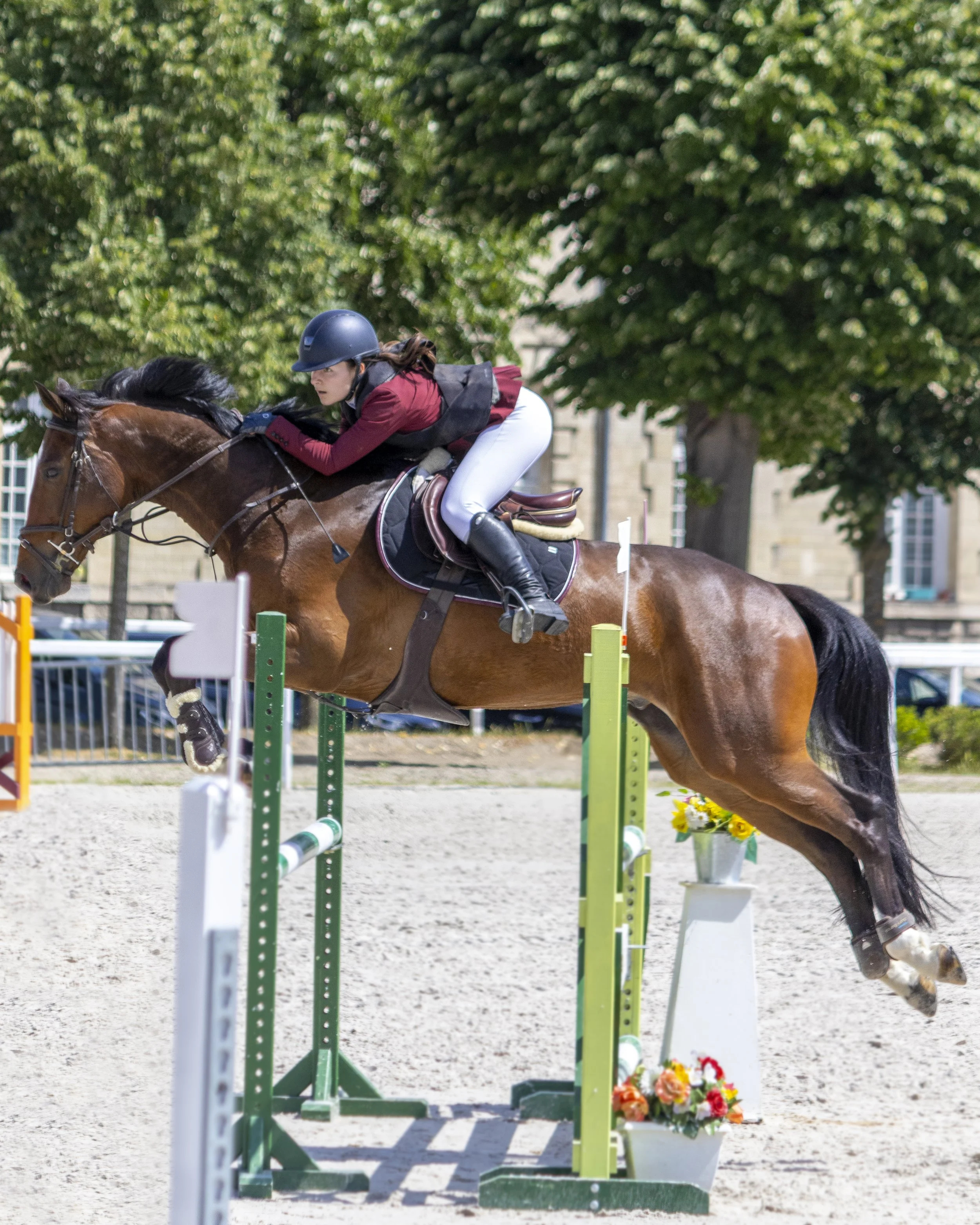 Cavalière en compétition sautant un obstacle lors d'une épreuve d'équitation en extérieur, avec un arbre en fond et des fleurs à côté de l'obstacle.
