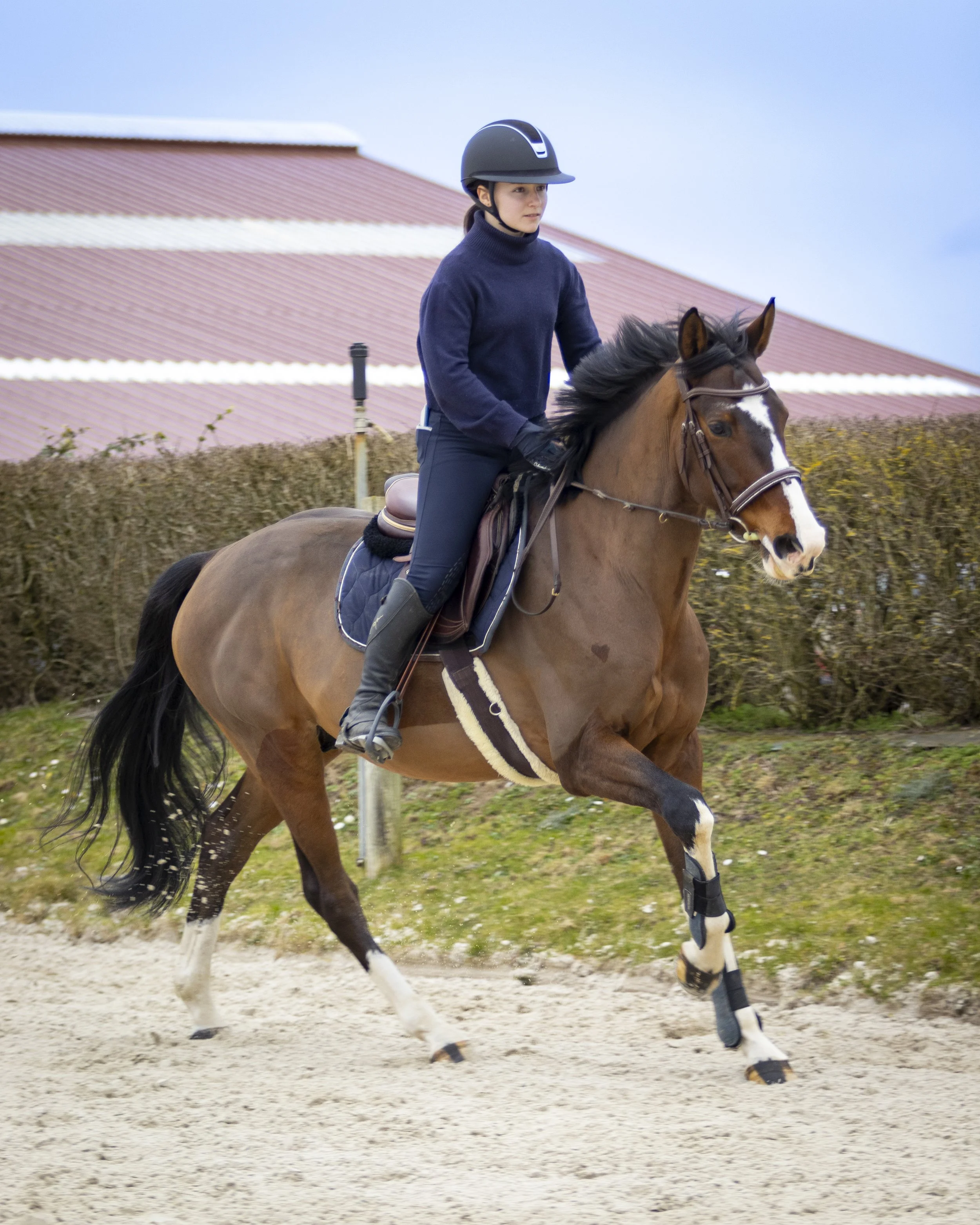 Une femme en tenue d'équitation portant un casque, chevauche un cheval beige avec des marques blanches sur le visage et les jambes, dans une écurie ou un centre équestre.