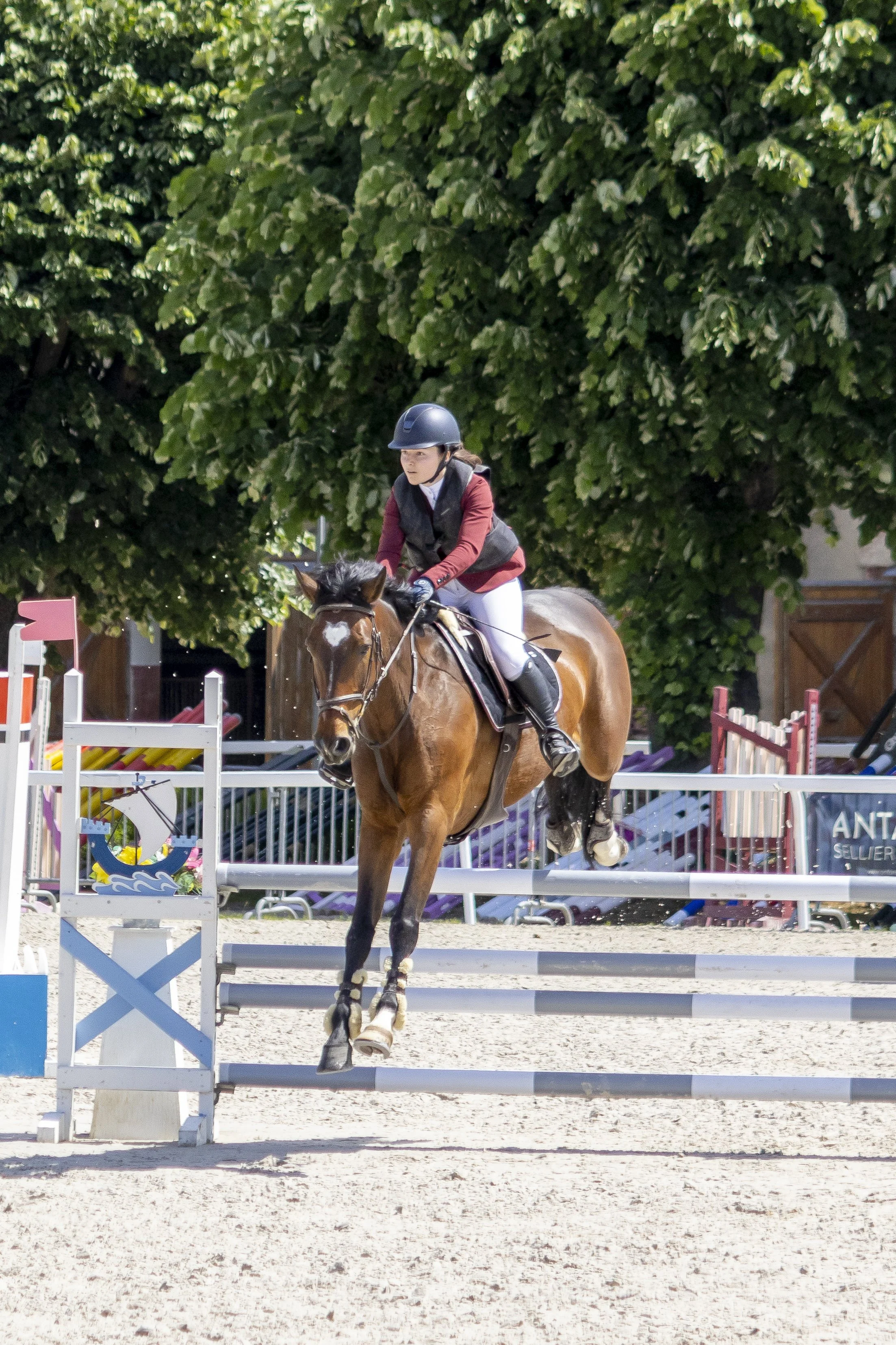 Une cavalière en tenue d'équitation, portant un casque noir, guide un cheval marron clair lors d'une compétition de saut d'obstacles, avec des obstacles colorés devant elle et un arrière-plan d'arbres verts.