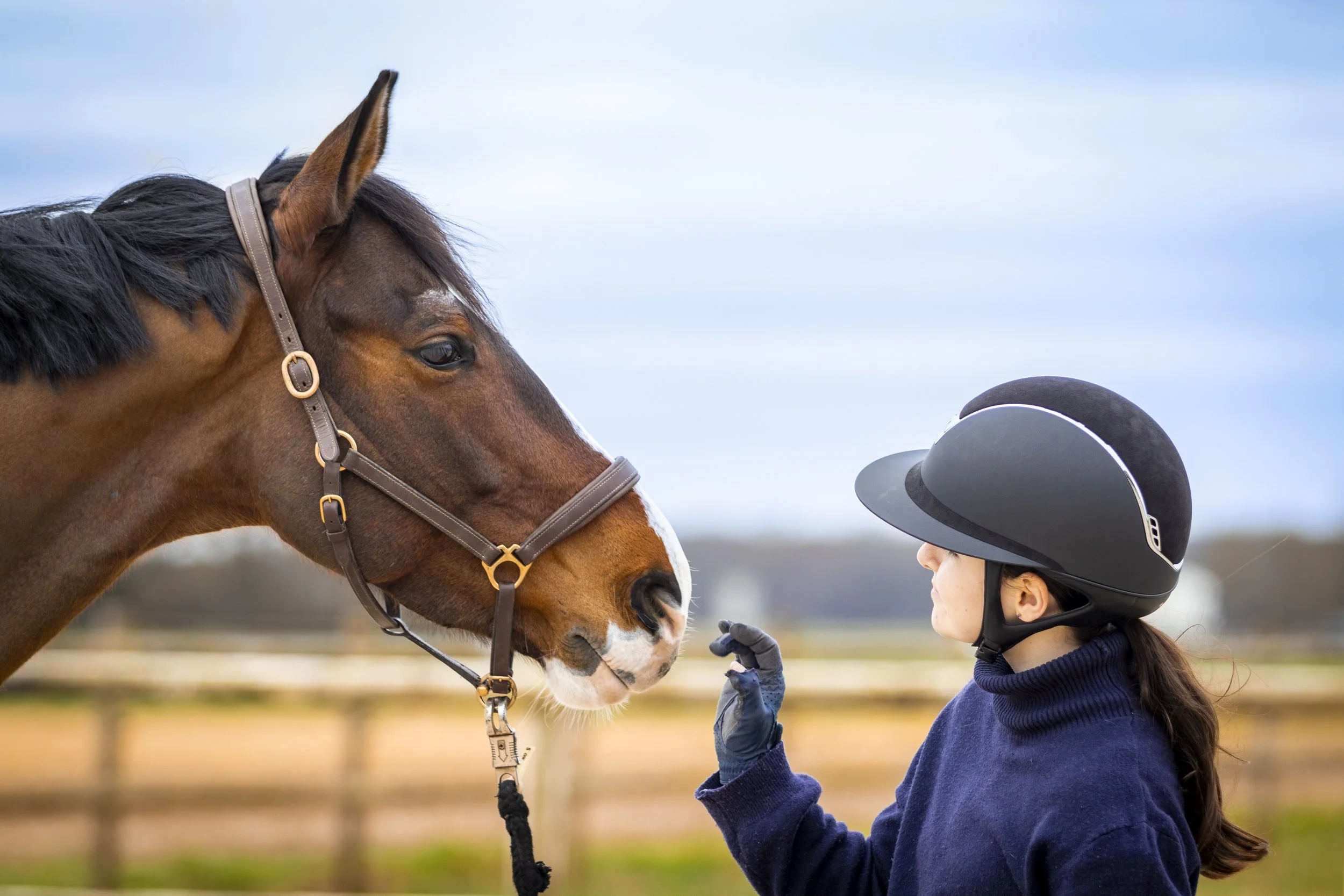 Une jeune fille portant un casque d'équitation touche le nez d'un cheval marron avec une tache blanche. Le cheval porte une bride en cuir. Le fond montre un champ avec une clôture en bois et un ciel bleu avec quelques nuages.