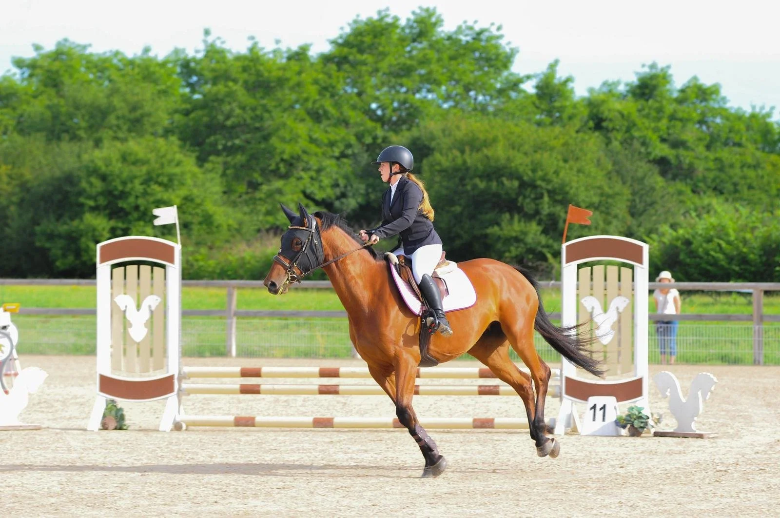 Une cavalière en compétition de saut d'obstacles, montant un cheval brun, dans une arène extérieure avec des obstacles décoratifs en forme de coqs, entourée d'arbres verts.