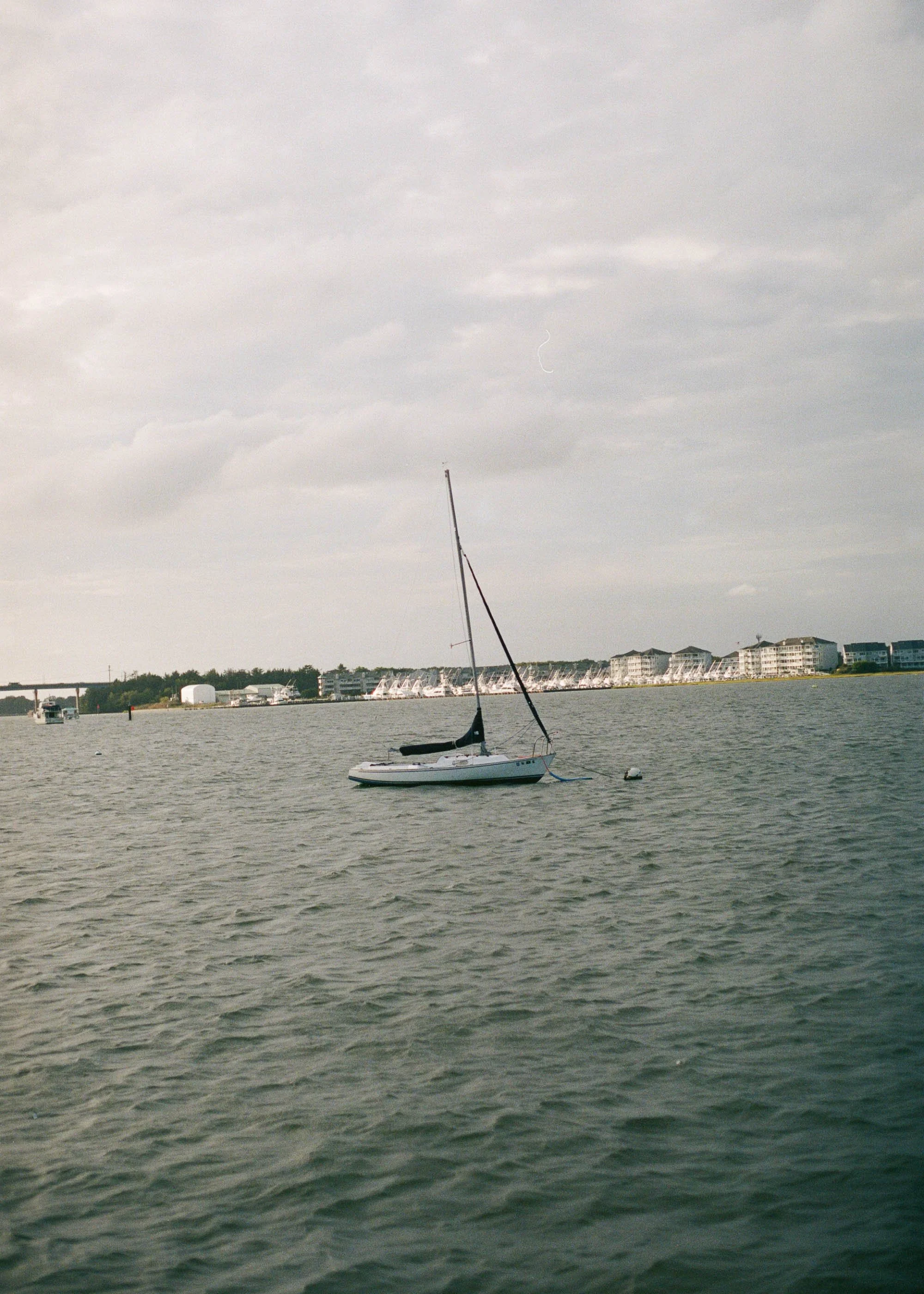 some_400_c_41_46999_153118_341596_000006920008.jpg