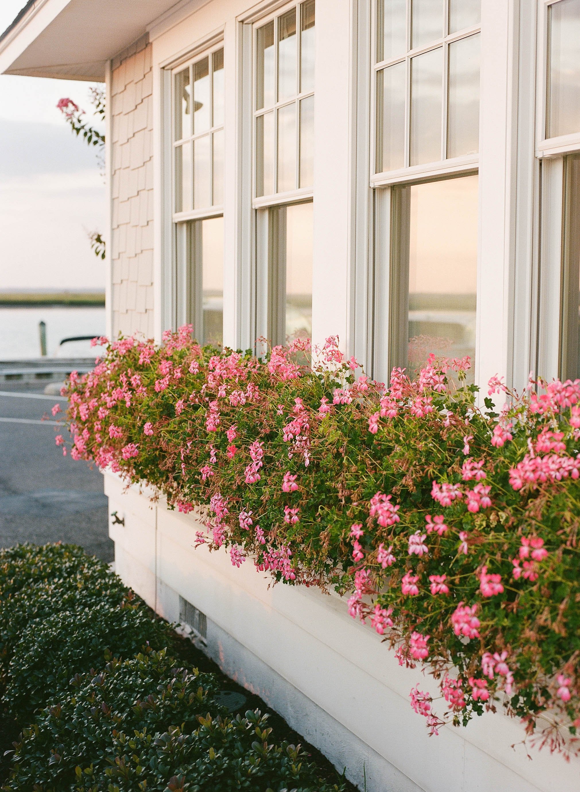 LeahStrozeskiPhoto-14.jpg