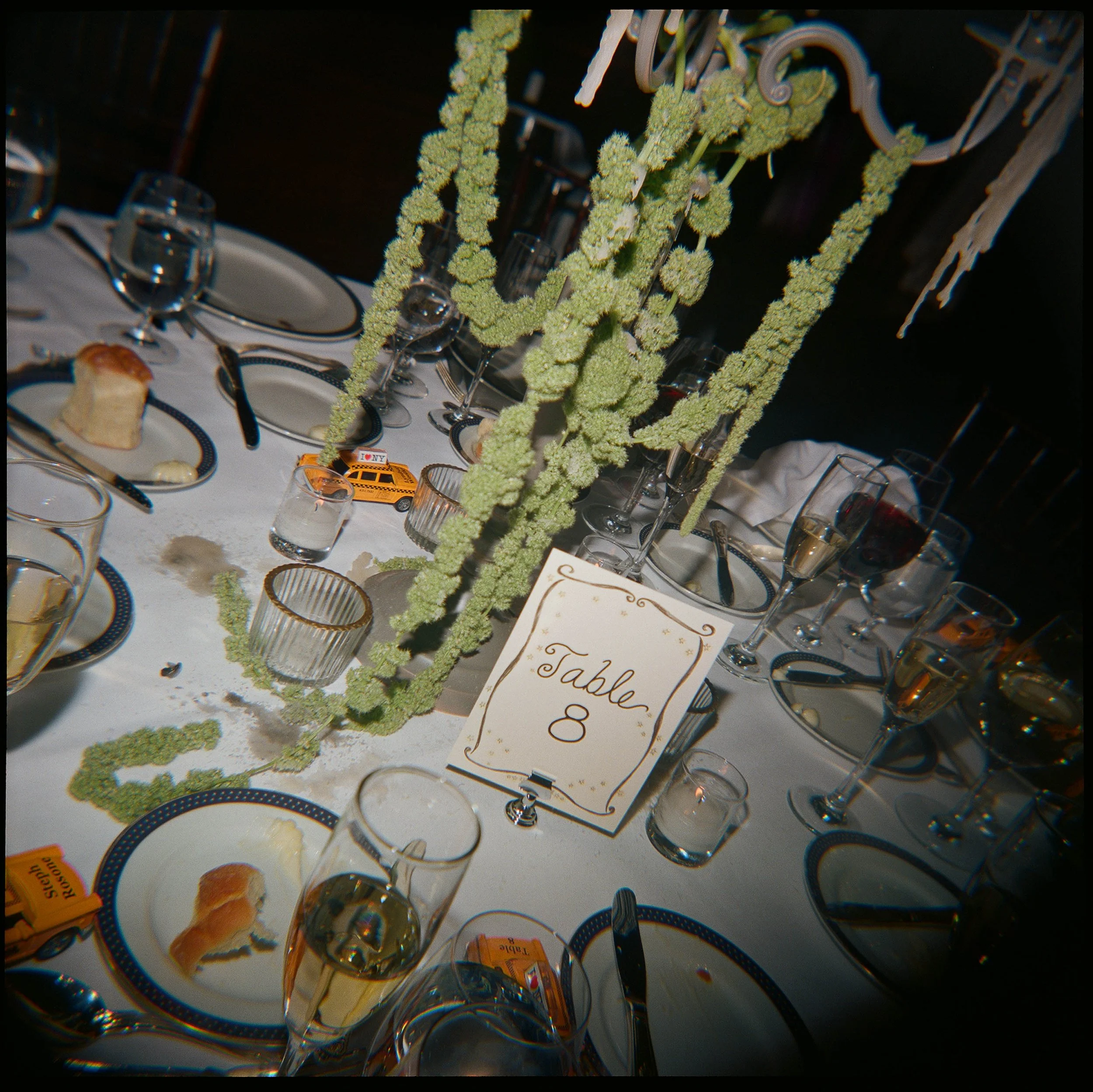 LeahStrozeskiPhoto-107.jpg