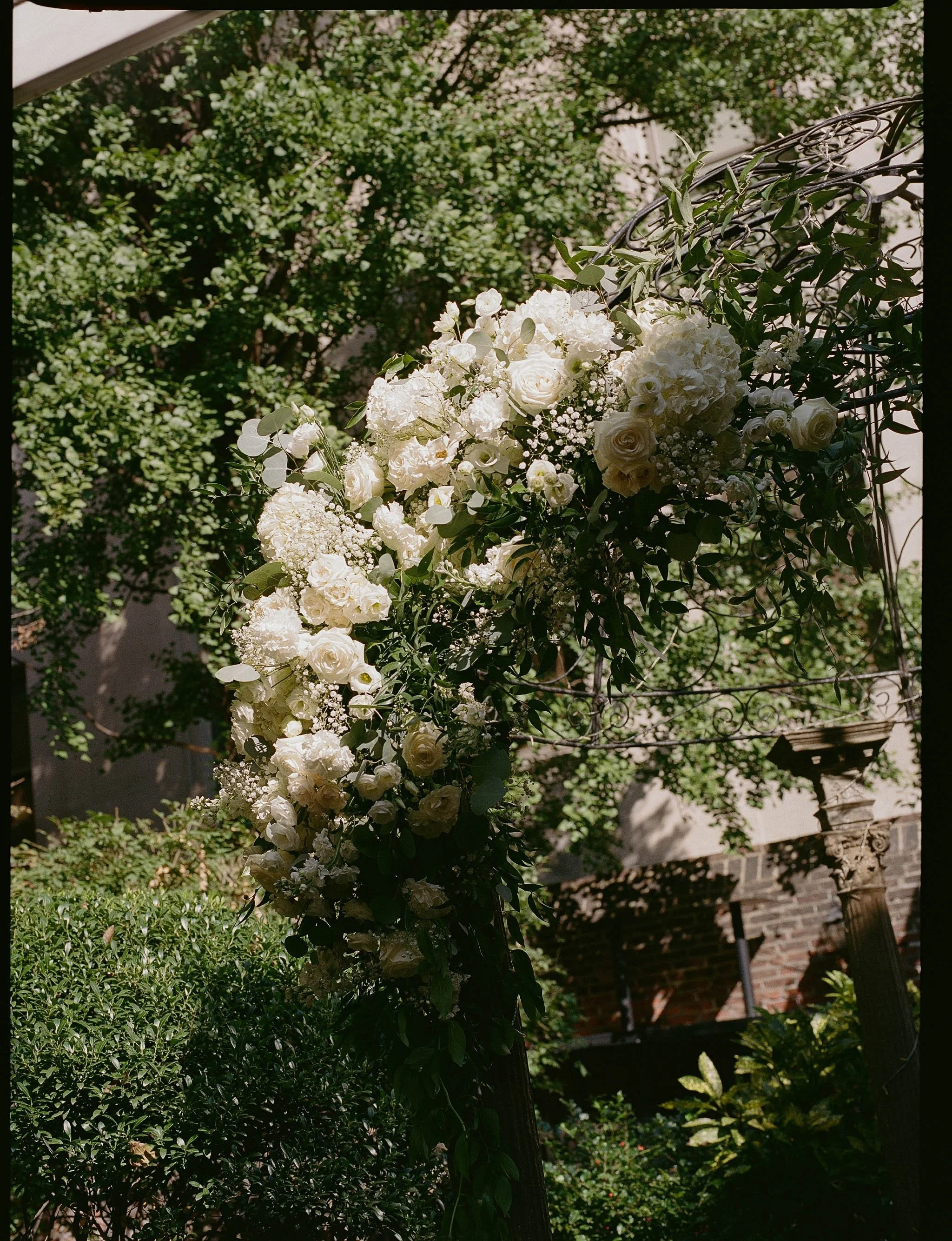 LeahStrozeskiPhoto-16.jpg
