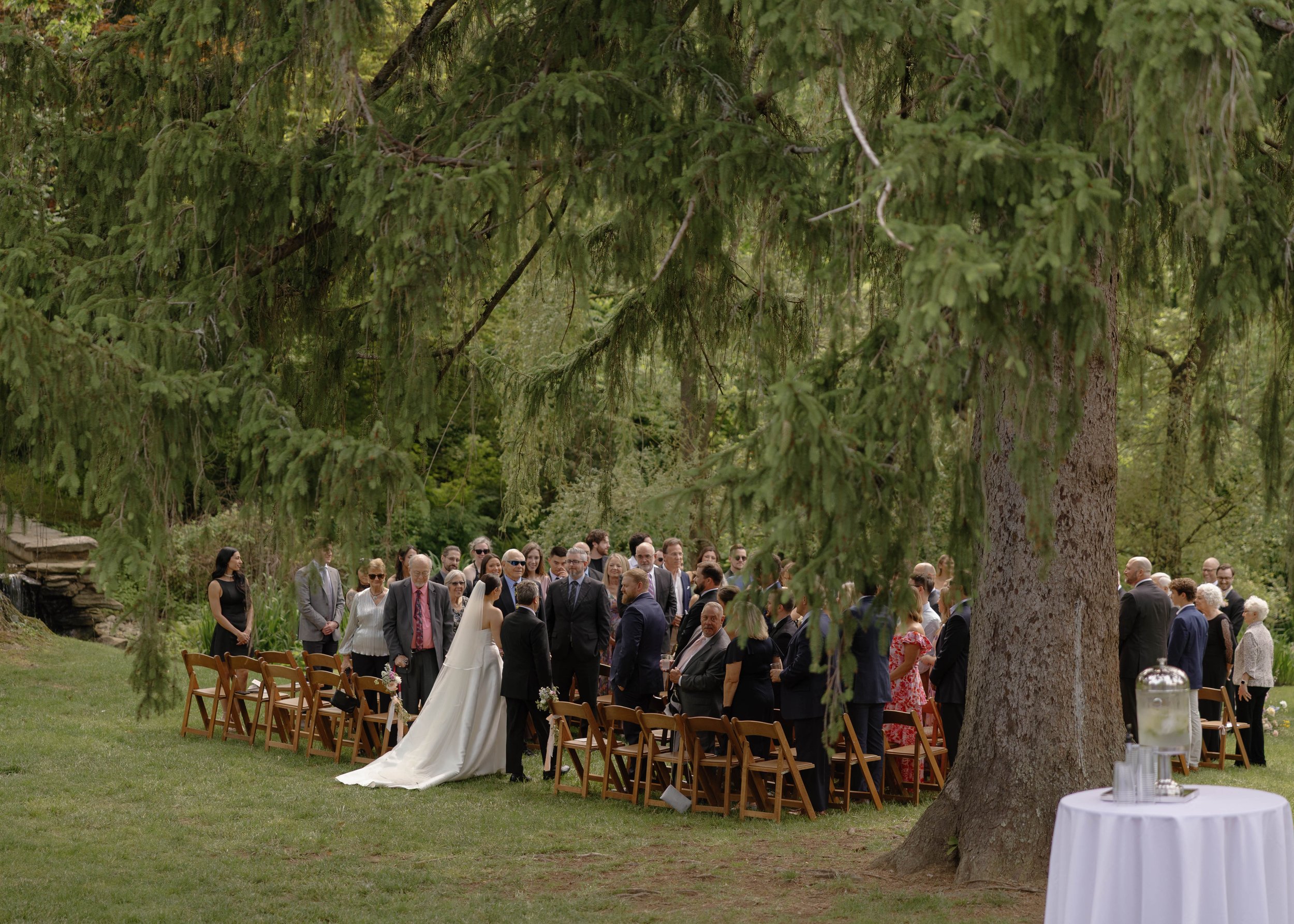 An outdoor wedding ceremony gathering of people under tall trees. The style of photo is warm and welcoming.