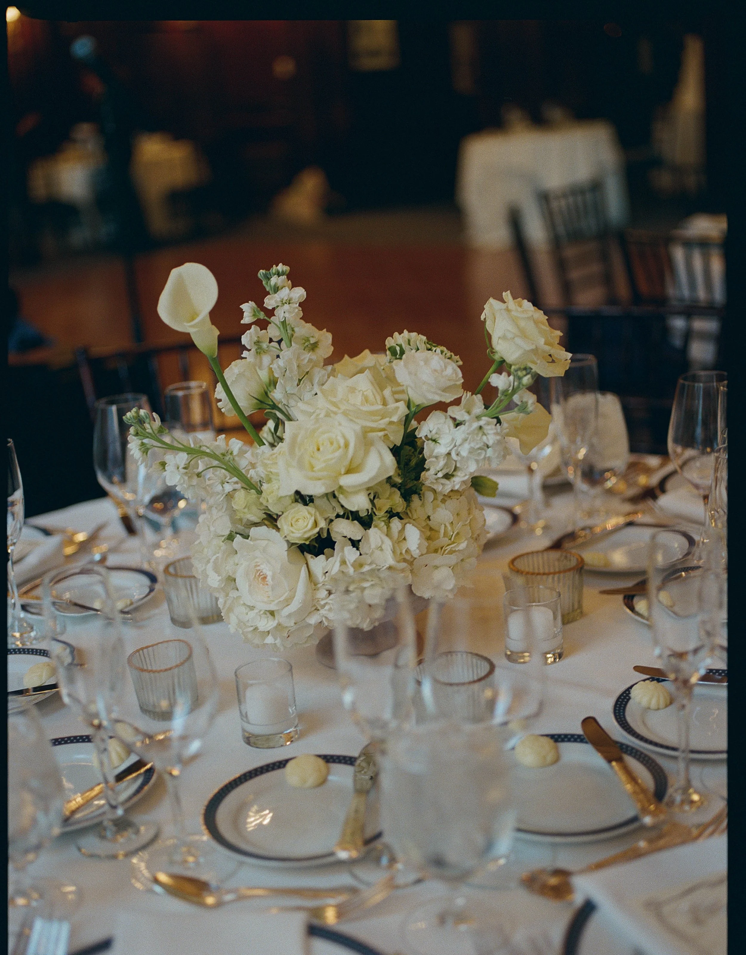 LeahStrozeskiPhoto-45.jpg