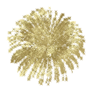 Gold-colored fireworks explosion against a dark starry background