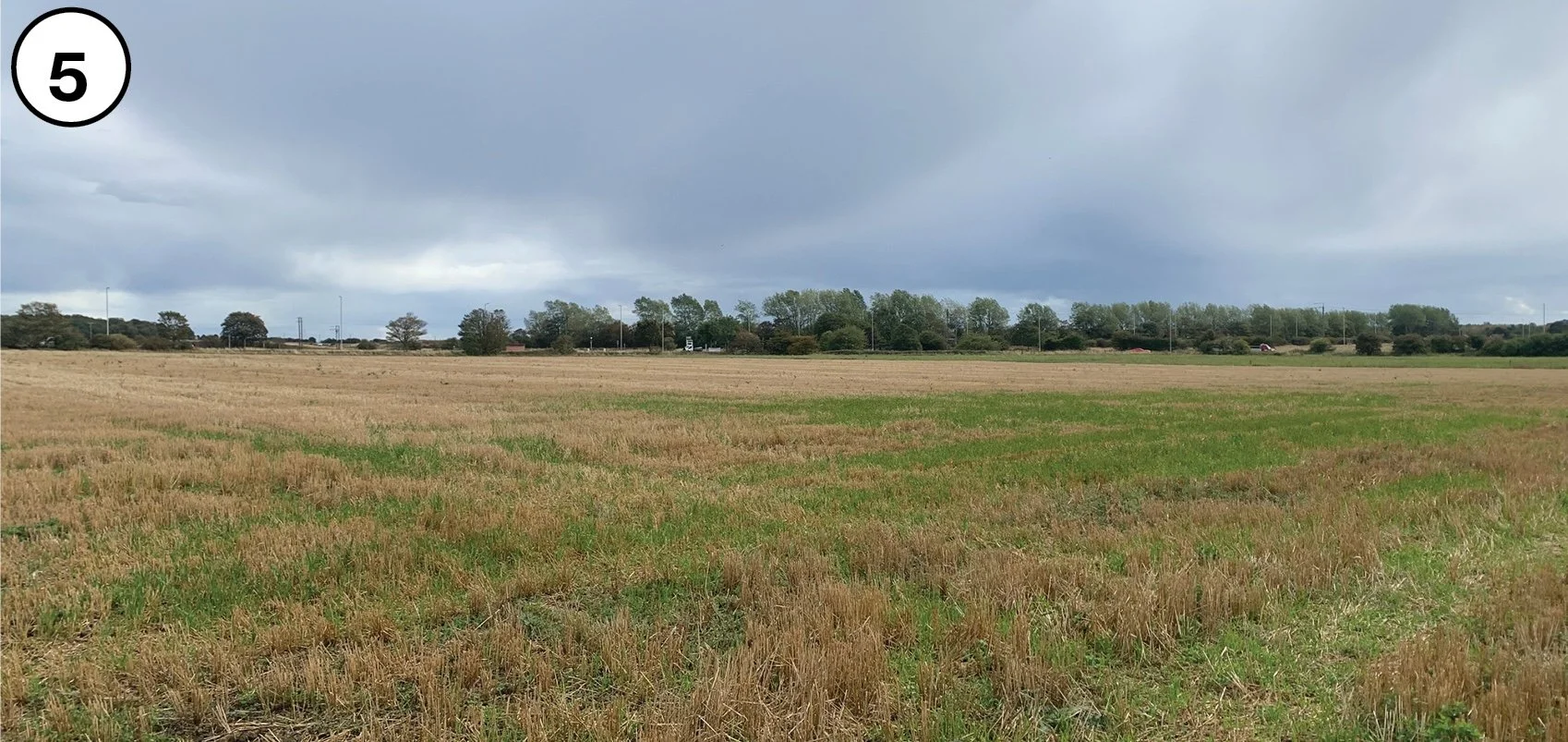 A vast field with rows of harvested or dying crops, separated by patches of green grass, under a cloudy sky with dark, looming clouds, and trees with some small structures and power lines in the background.