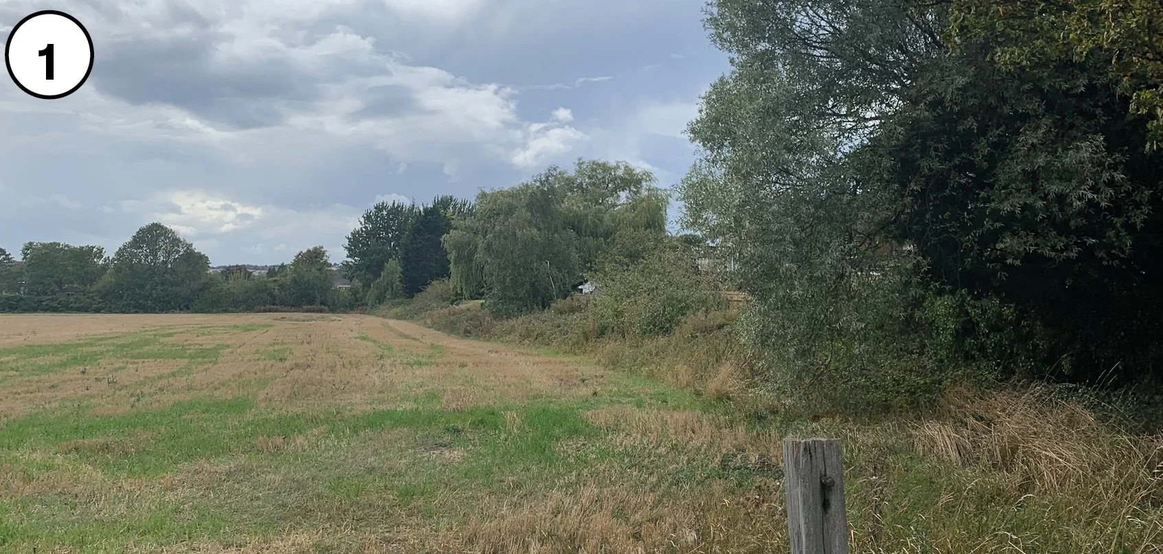 Open grassy field next to a line of trees under a cloudy sky.