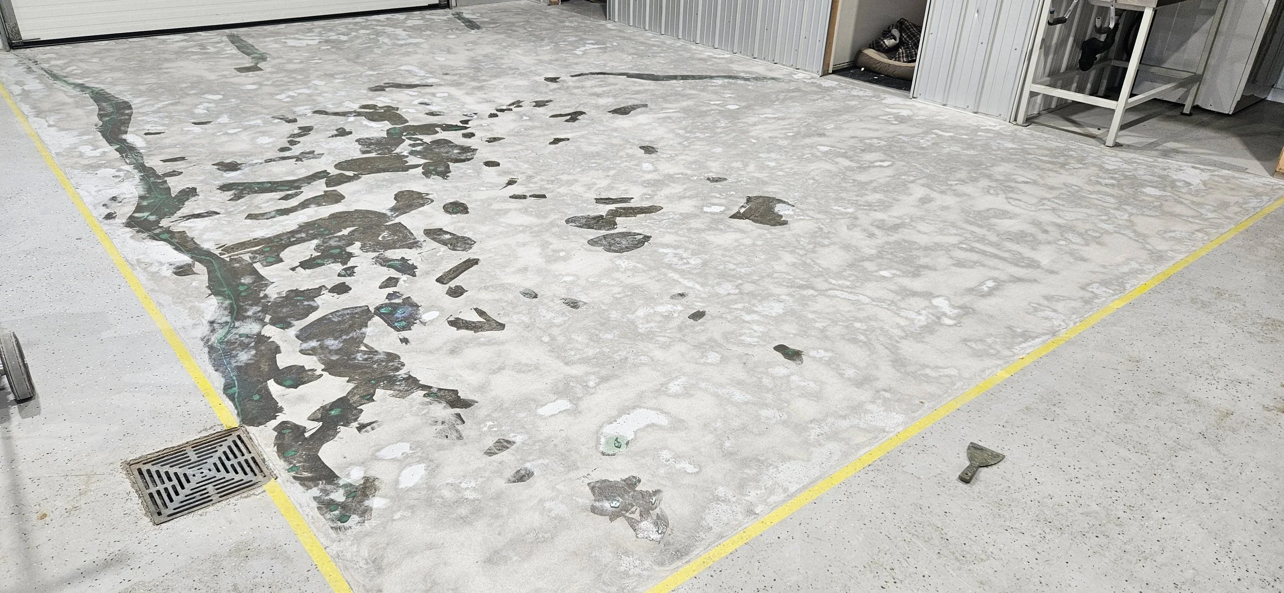 BEFORE - Bare concrete grinded and repaired. Sectioned off areas.