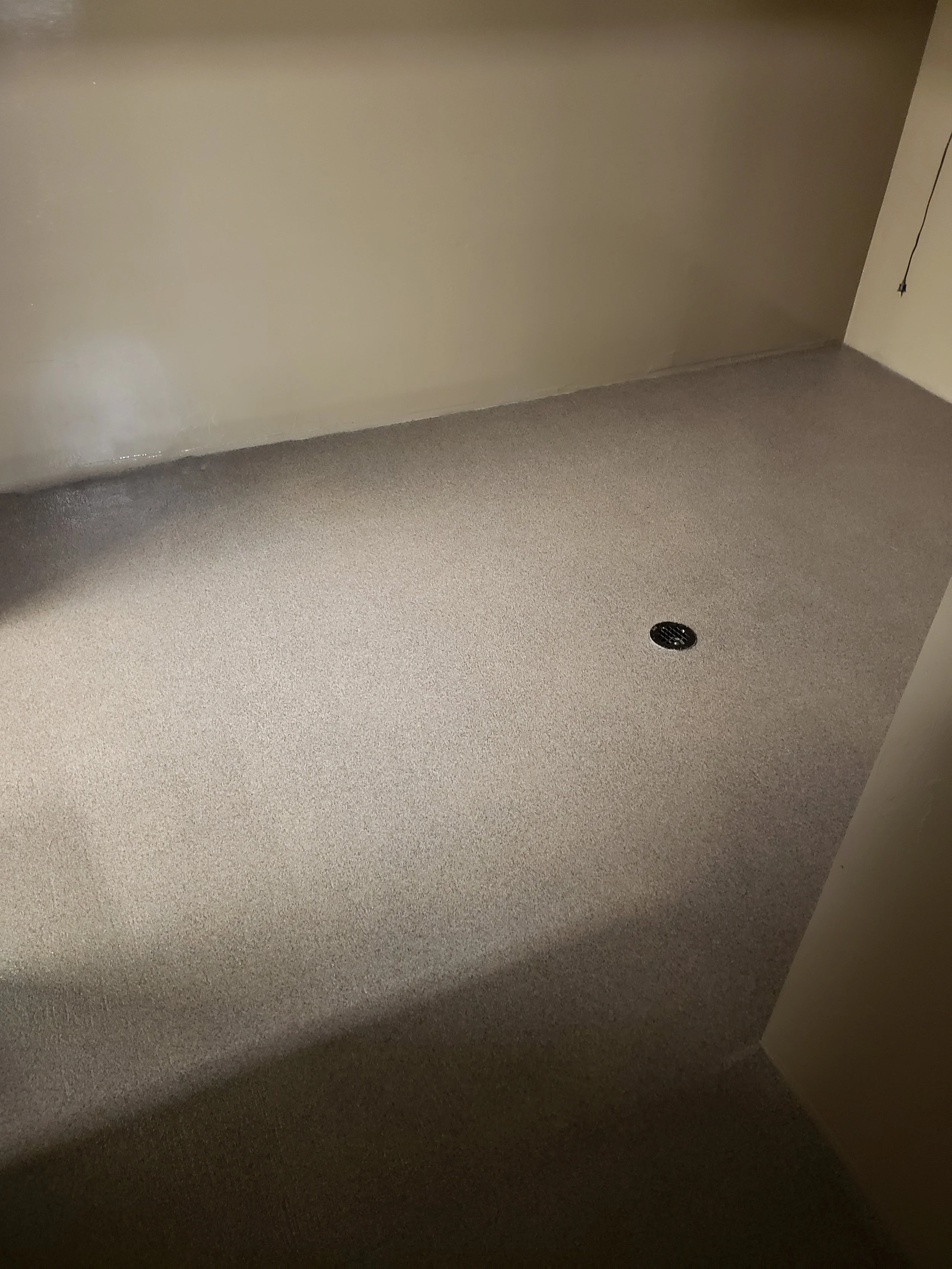 20190315_122734.jpg