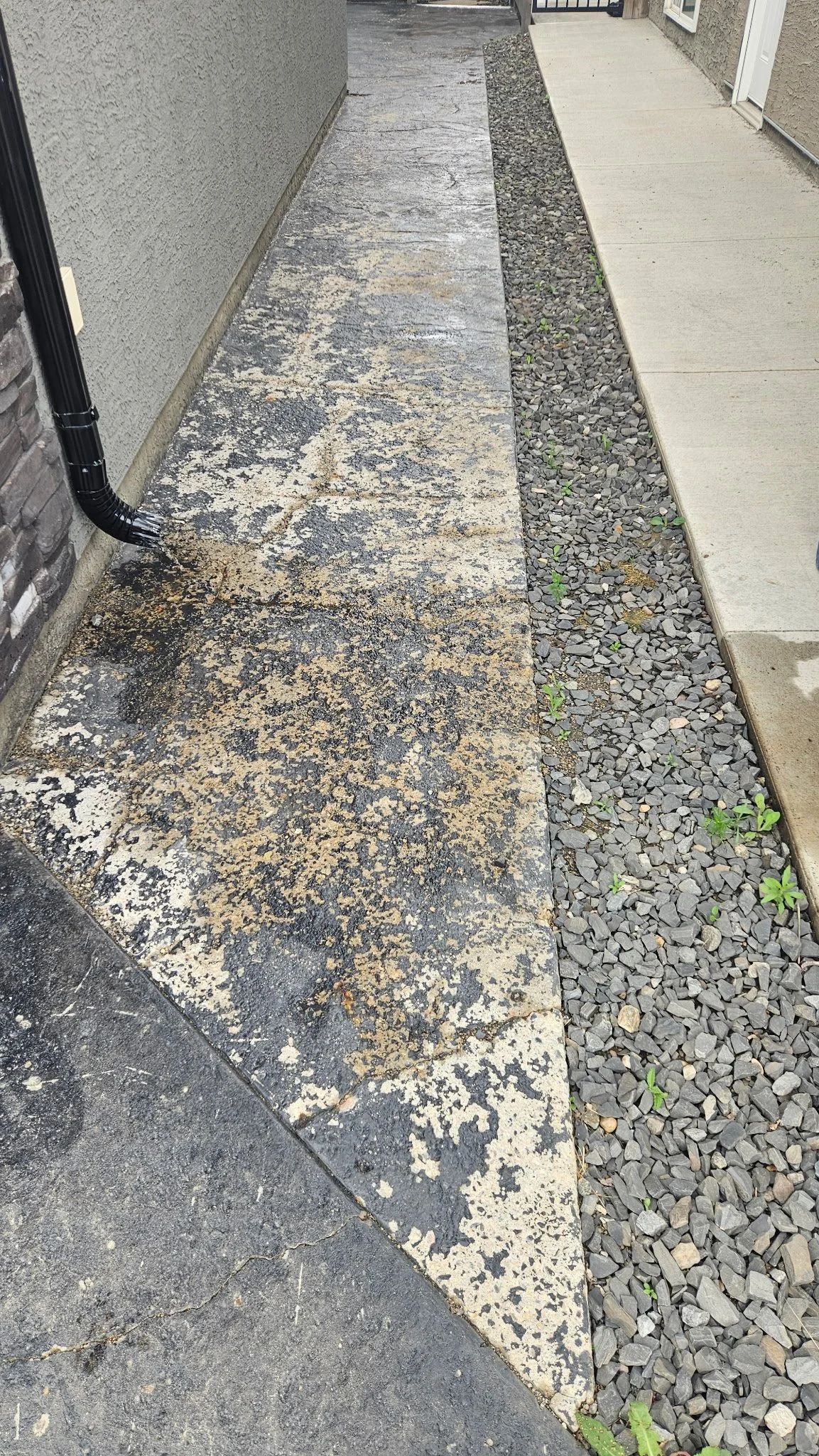 Front WalkwayBEFORE.jpg