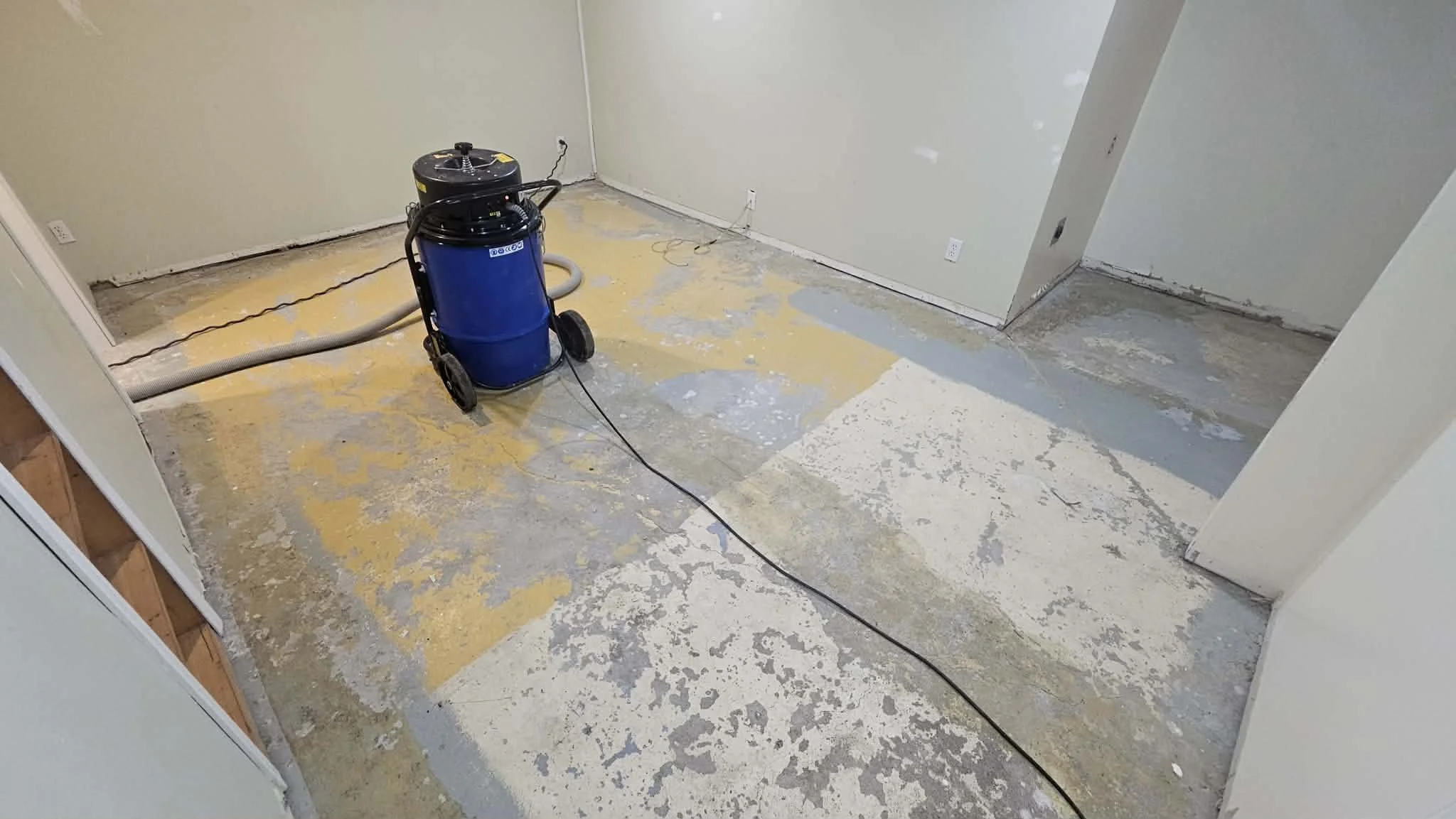 BEFORE - Carpet removed.