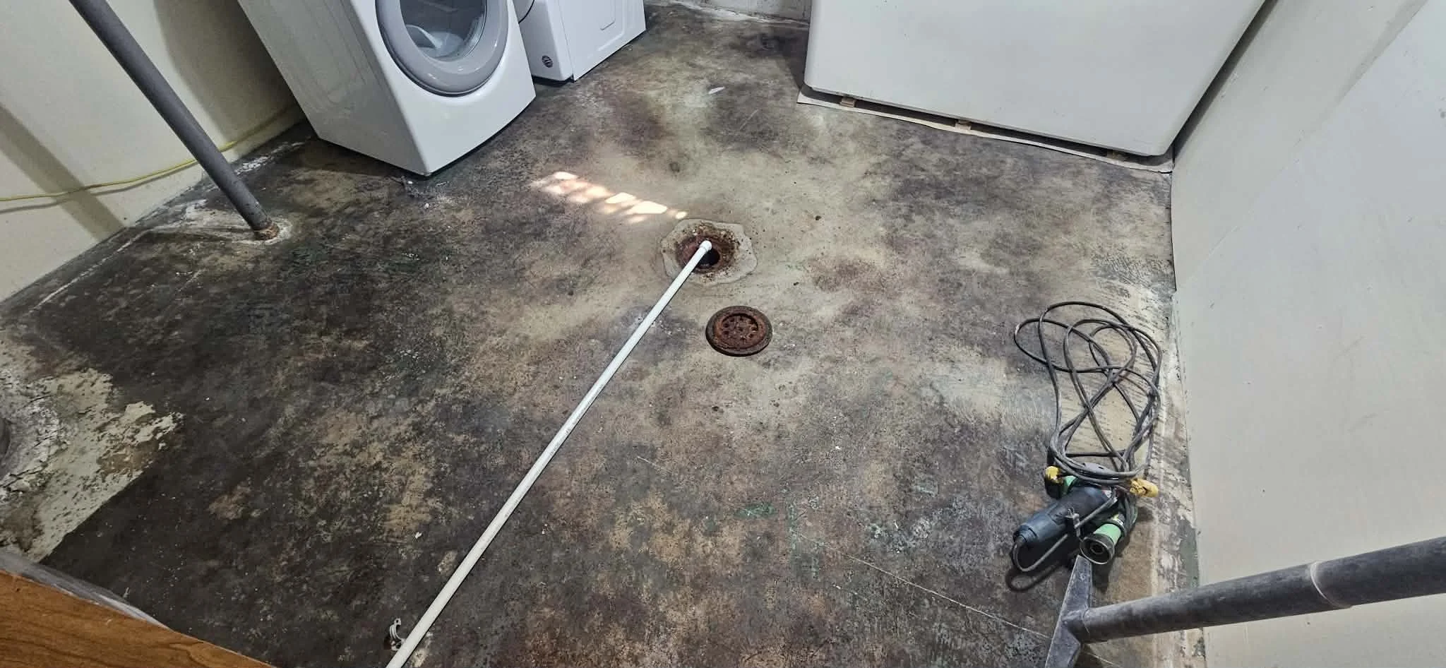 BEFORE - Removed flooring, black mold present.