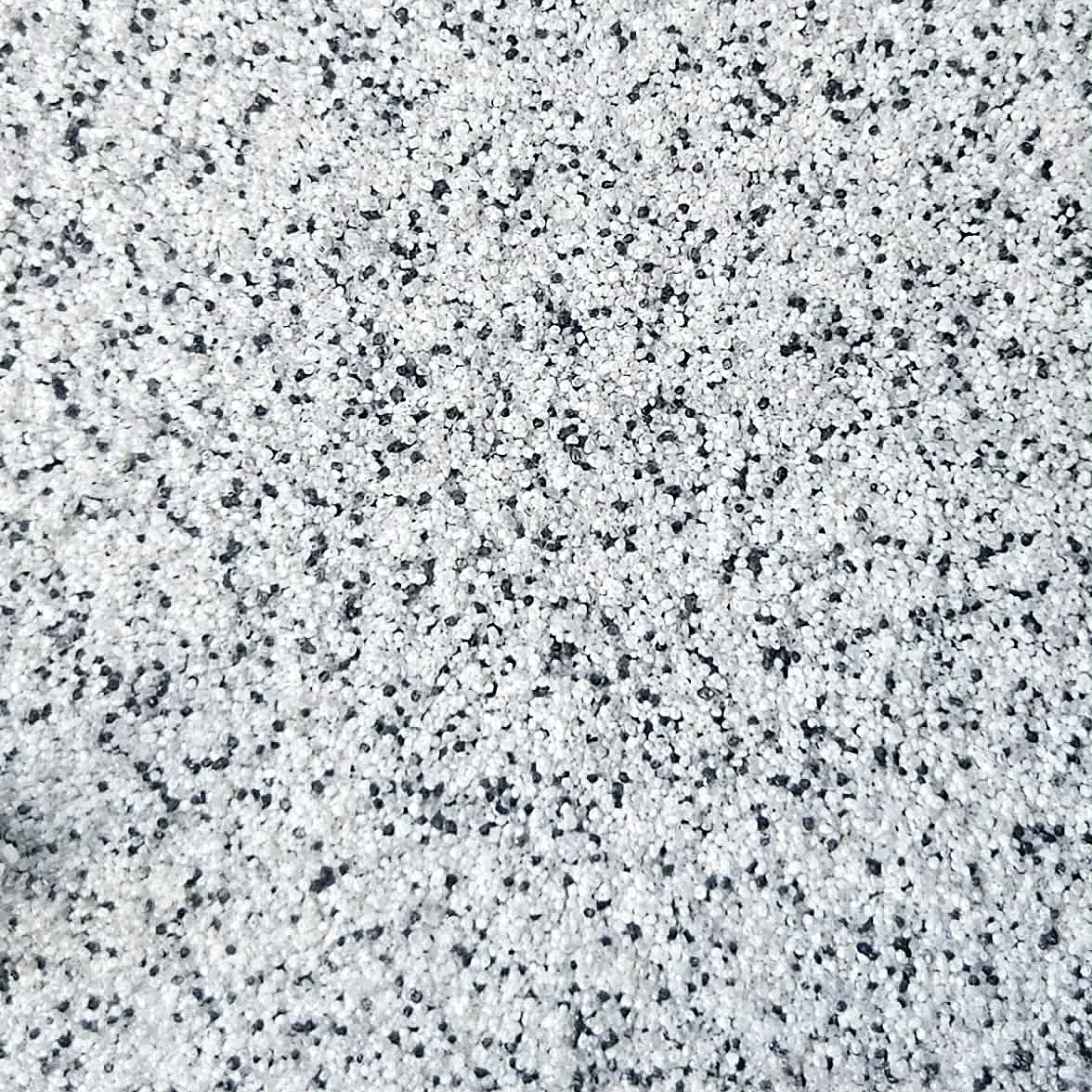 Dalmatian 