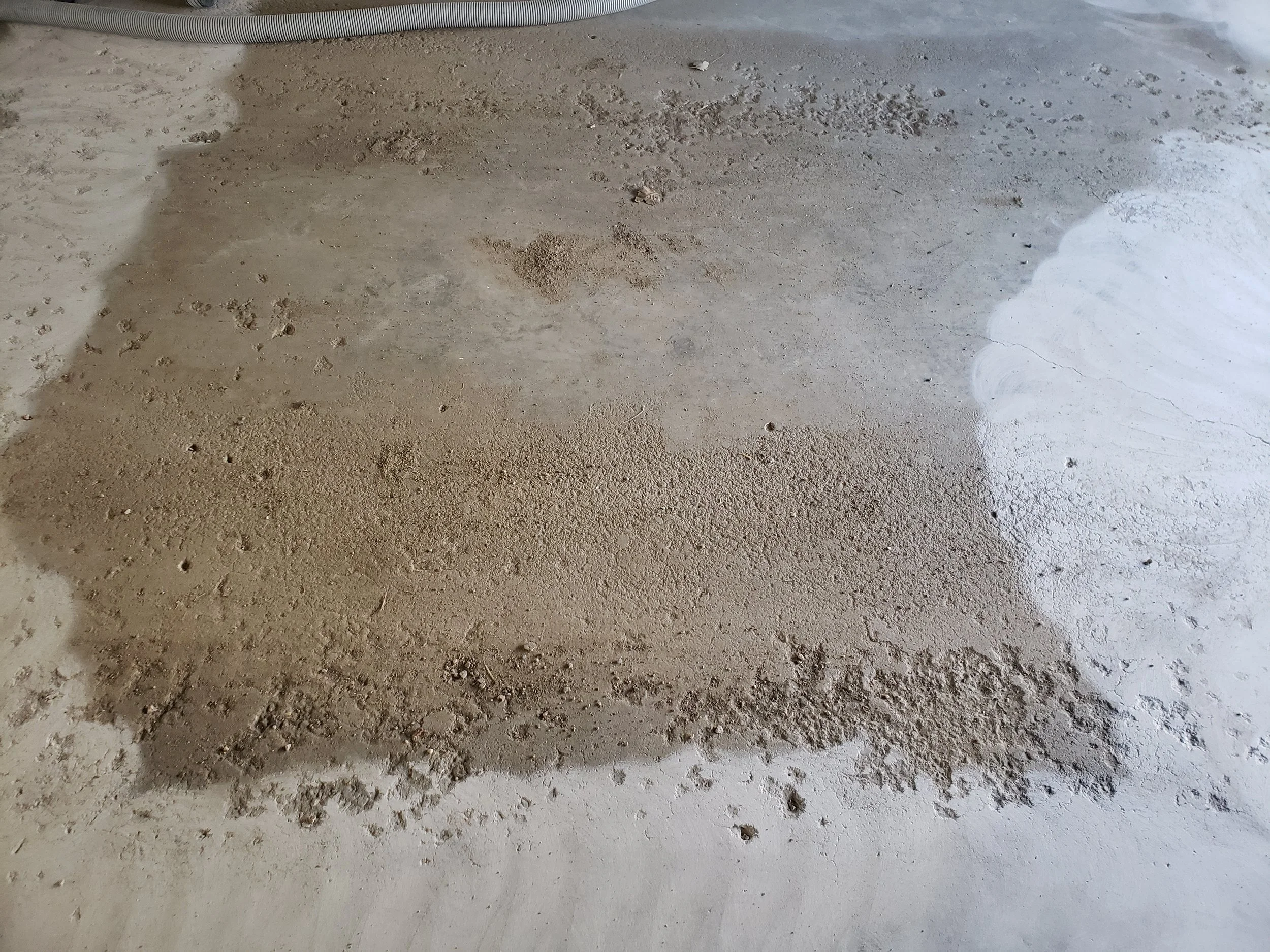 20190415_103815.jpg