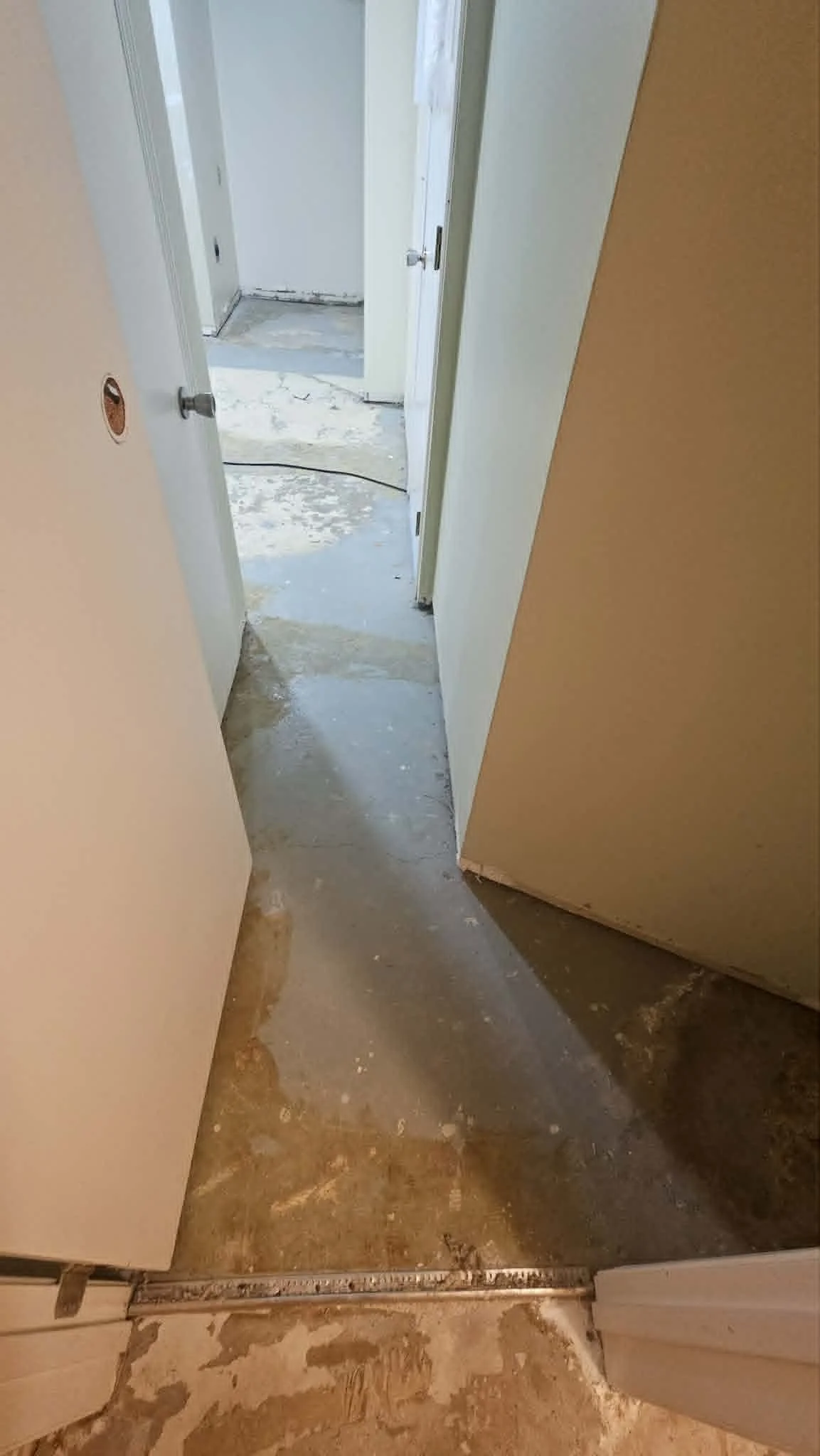 BEFORE - Basement hallway.
