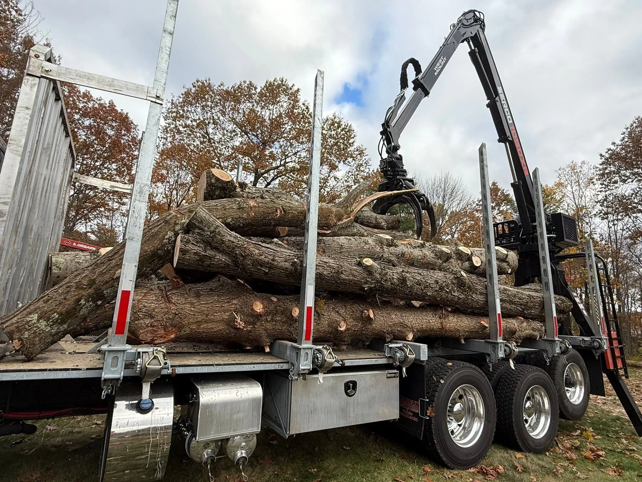 A large truck carrying fallen logs is parked outdoors, with trees in the background. The logs are stacked on the truck's flatbed, and a hydraulic machine is lifting one of the logs.