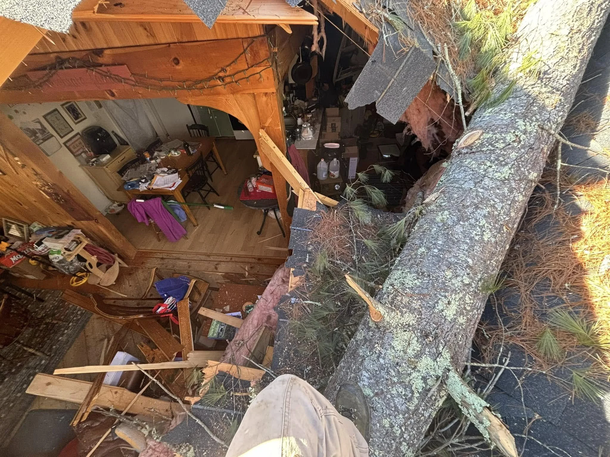 Tree fallen on a house causing significant damage to the roof and interior.