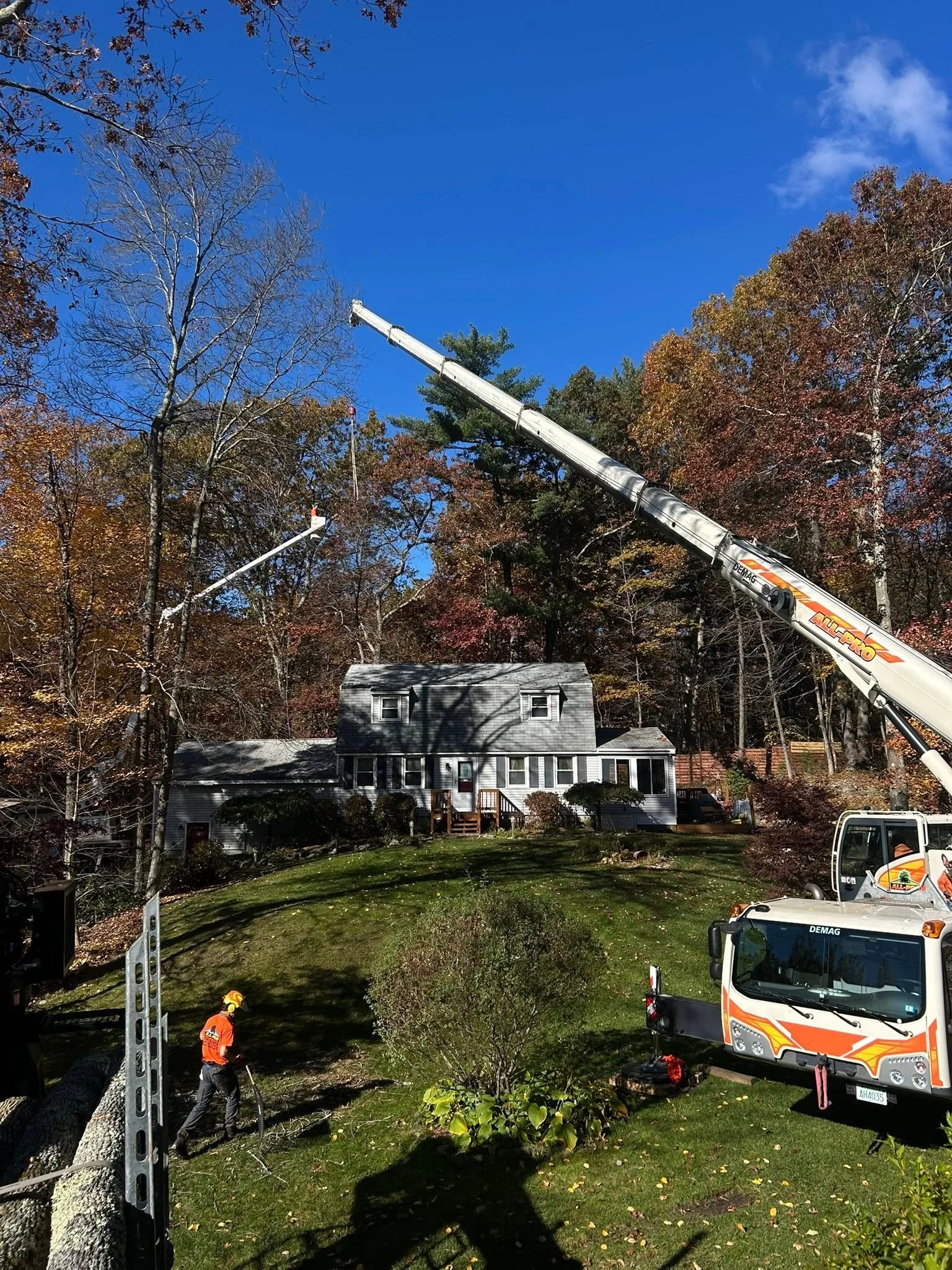 Tree removal in progress in a residential yard with firefighters and a crane, house in the background, and fall foliage.
