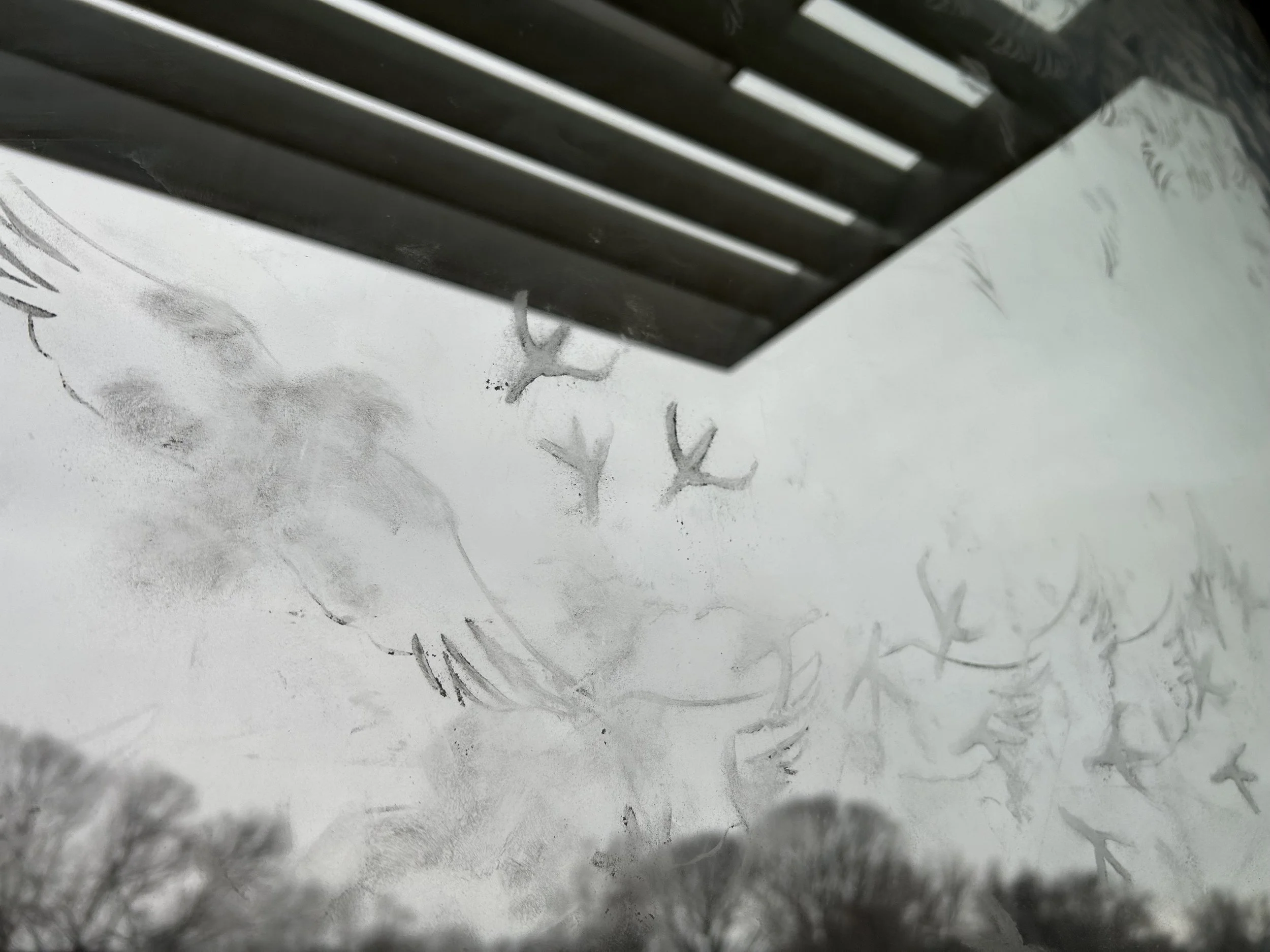 INSIDE, 2025, site-specific installation